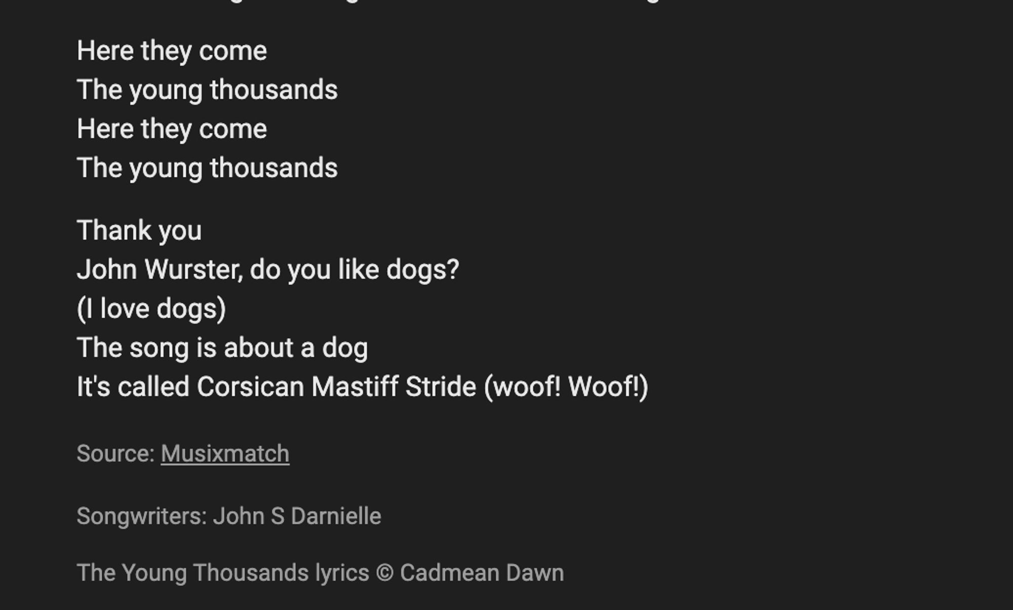 closing lyrics to "the young thousands" mistranscribed by AI for a lyrics aggregator site to include the banter that followed it on "The Jordan Lake Sessions"