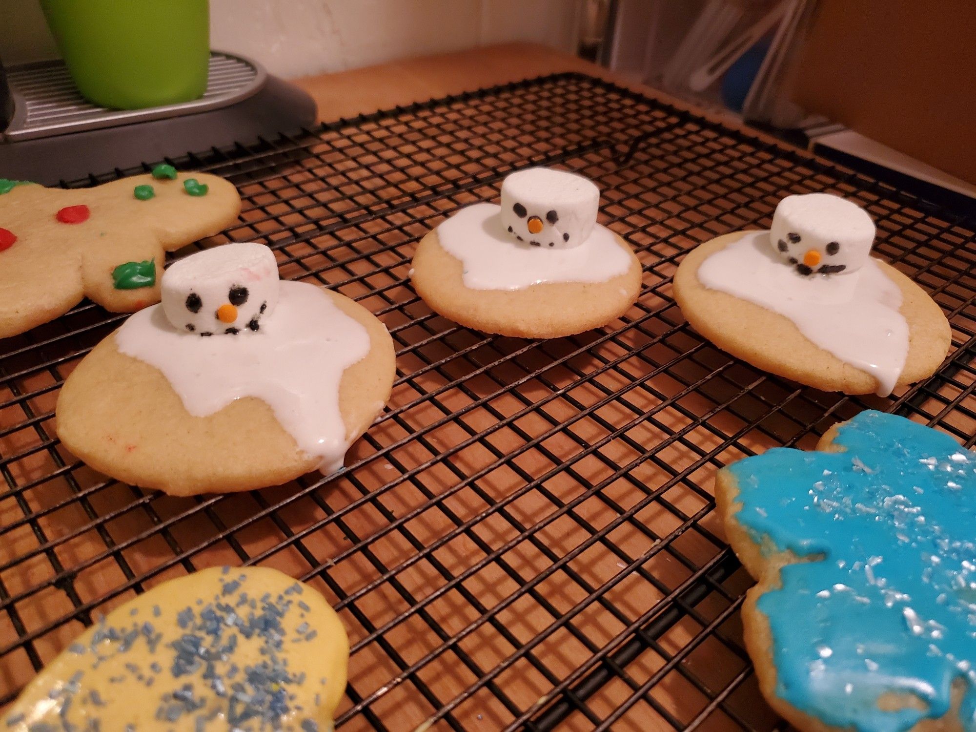 She says they're "melting snowman cookies" and she says my name for them is dark.

Marshmallow with face on white frosting on a cookie