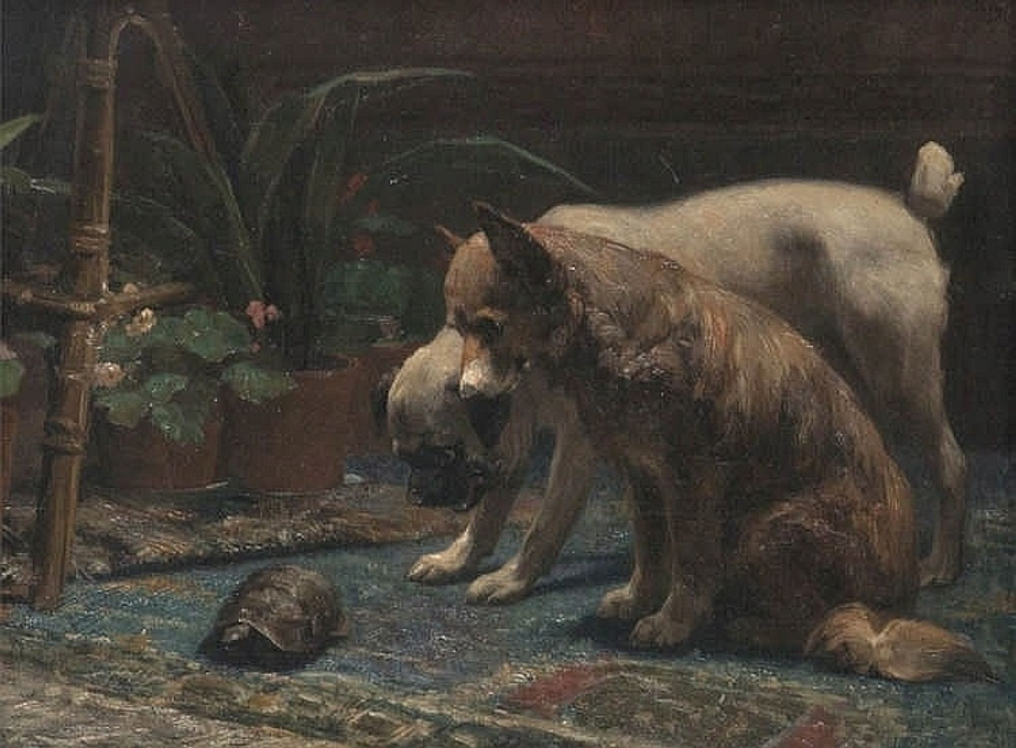 Painting of two dogs staring intently at a turtle walking across the carpet in front of them