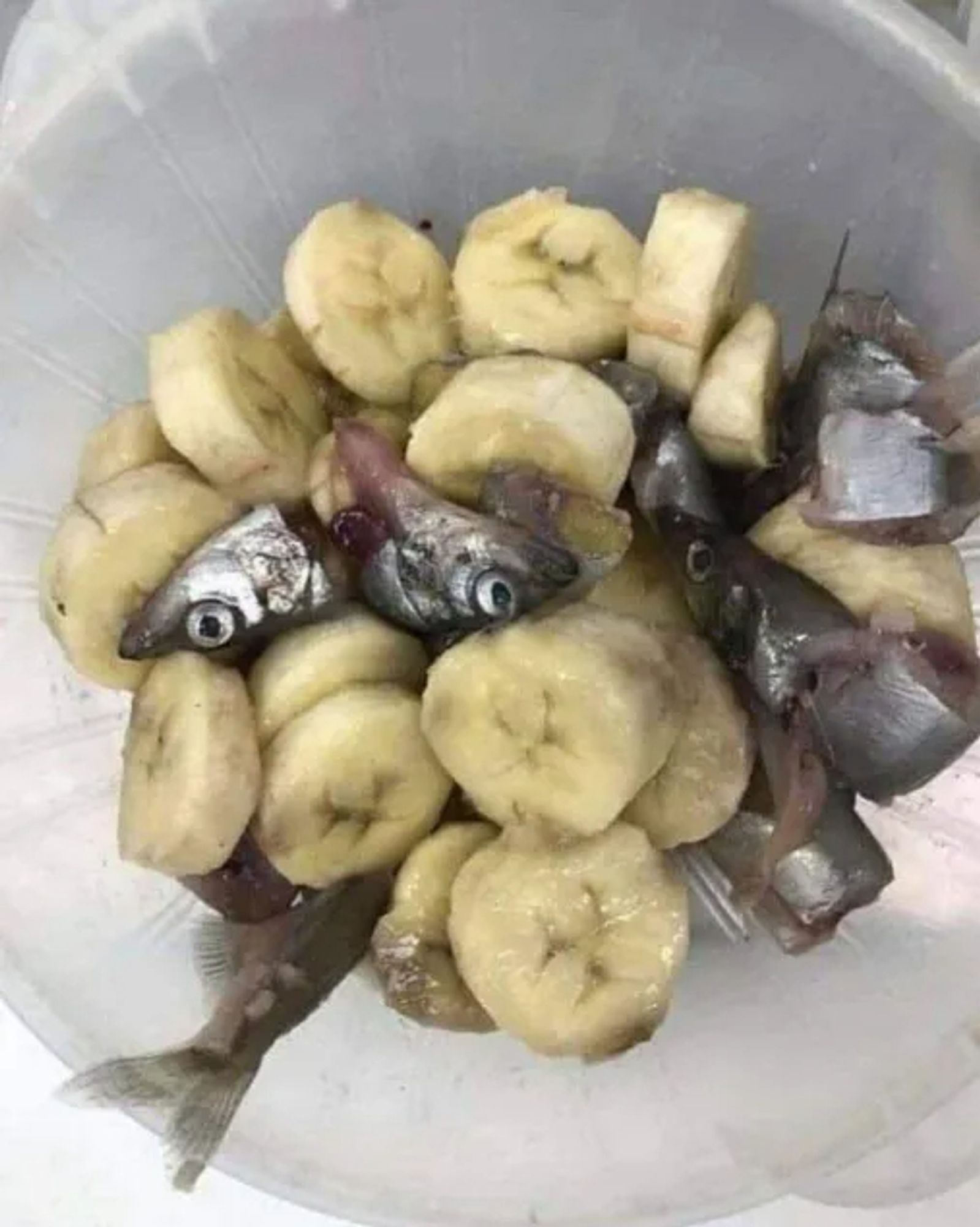 Fish heads and bananas