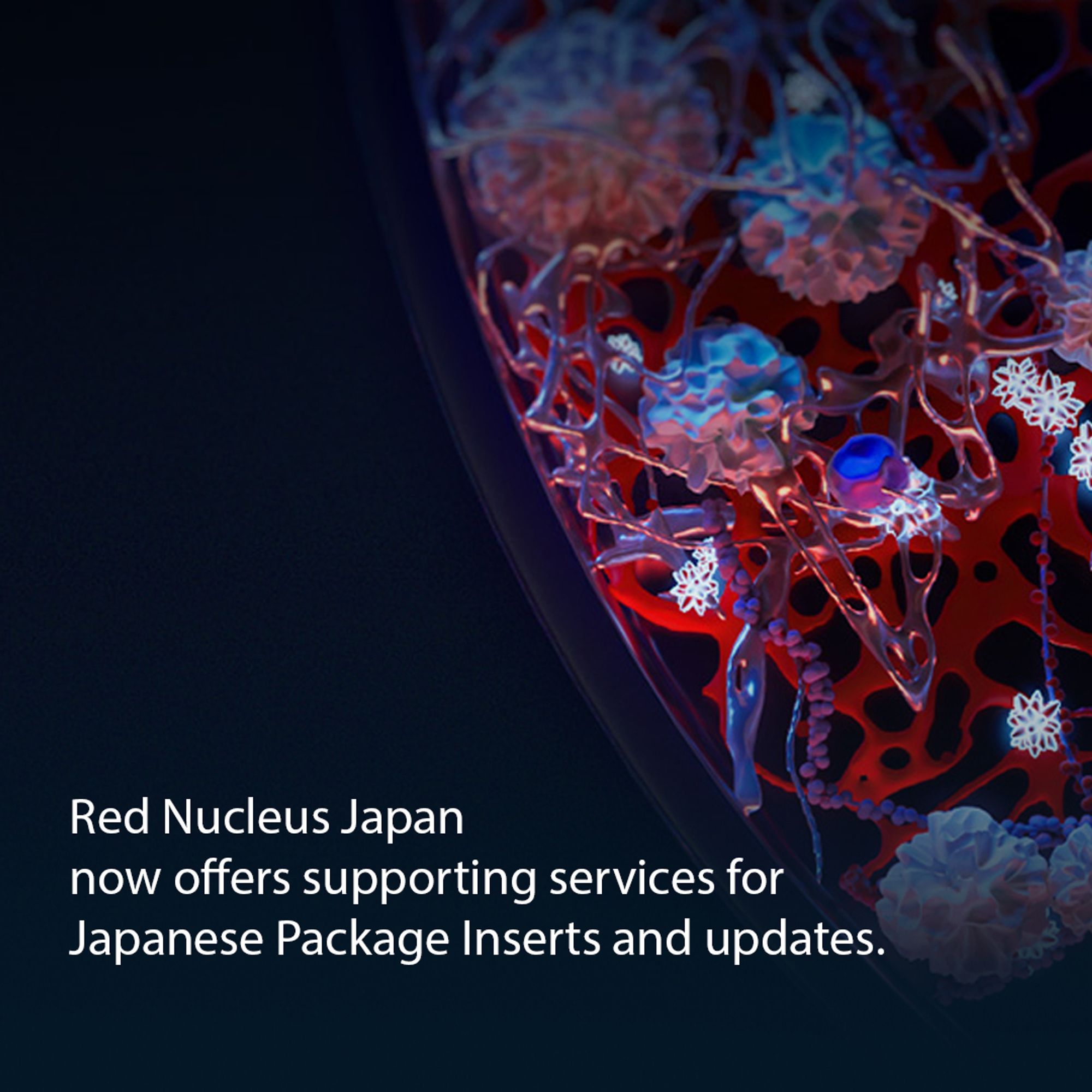 Petri dish from our animation, and "Red Nucleus Japan now offers supporting services for Japanese Package Inserts and updates."