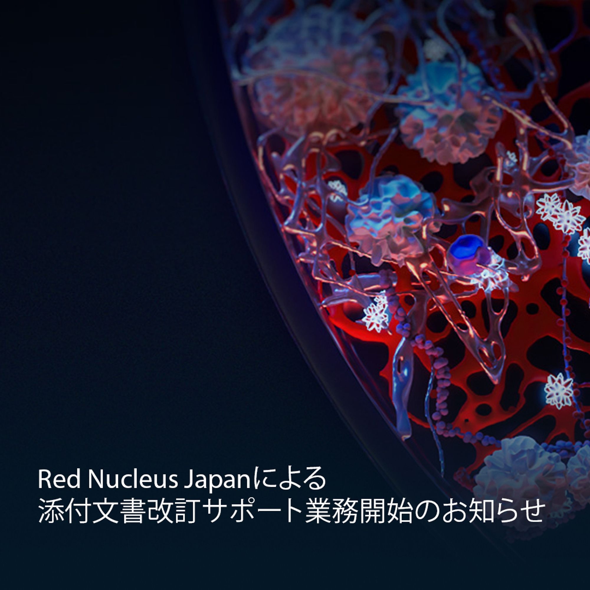 Animation image of a petri dish. "Red Nucleus Japanによる添付文書改訂サポート業務開始のお知らせ"