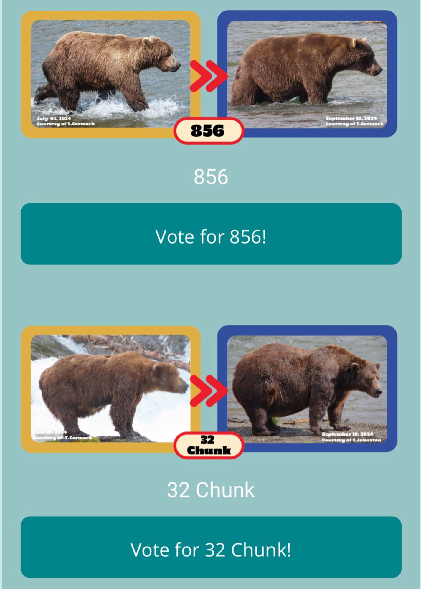 #FatBearWeek2024 Match Up: 856 vs 32 CHUNK