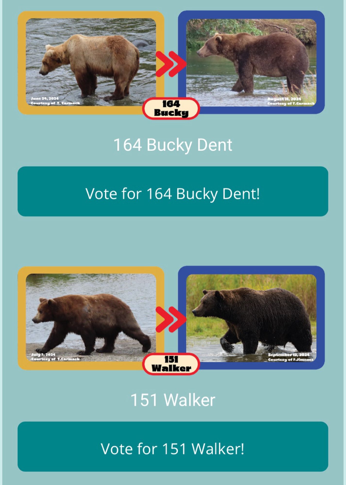 #FatBearWeek2024 MatchUp: 164 BUCKY DENT vs 151 WALKER