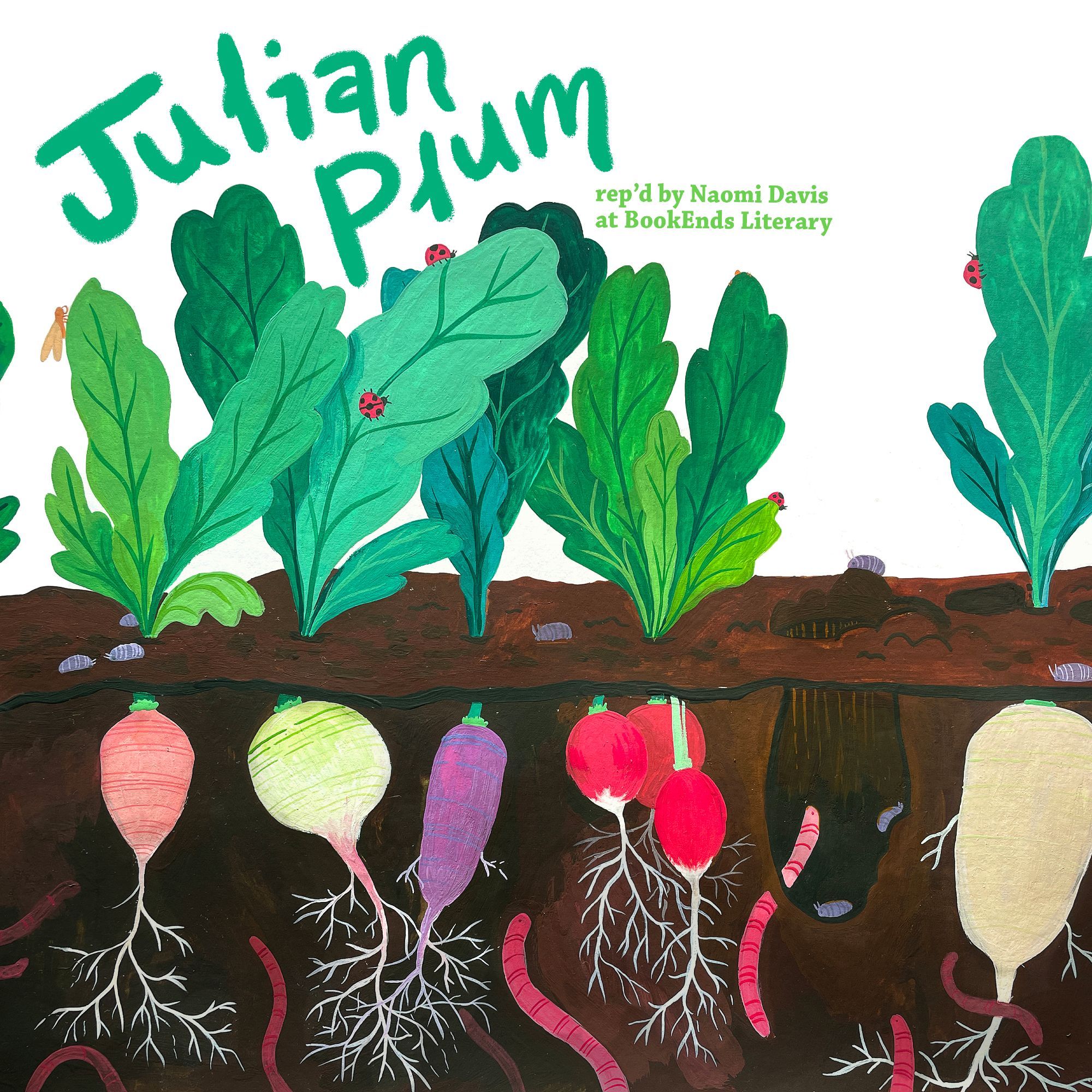 A square postcard with a gouache painting of multicolored radishes growing above and below the soil. Above the soil, lush green leaves covered in ladybugs overlap. On the soil's surface, isopods skitter. Underground, bright pink, green, purple, and white radishes grow, sending out white threading roots toward pink earthworms. One worm pokes its head into a hole in the soil, looking at the light where a radish once was. The text reads "Julian Plum" in hand-lettered type above the leaves, and beside it reads, "Rep'd by Naomi Davis at BookEnds Literary"