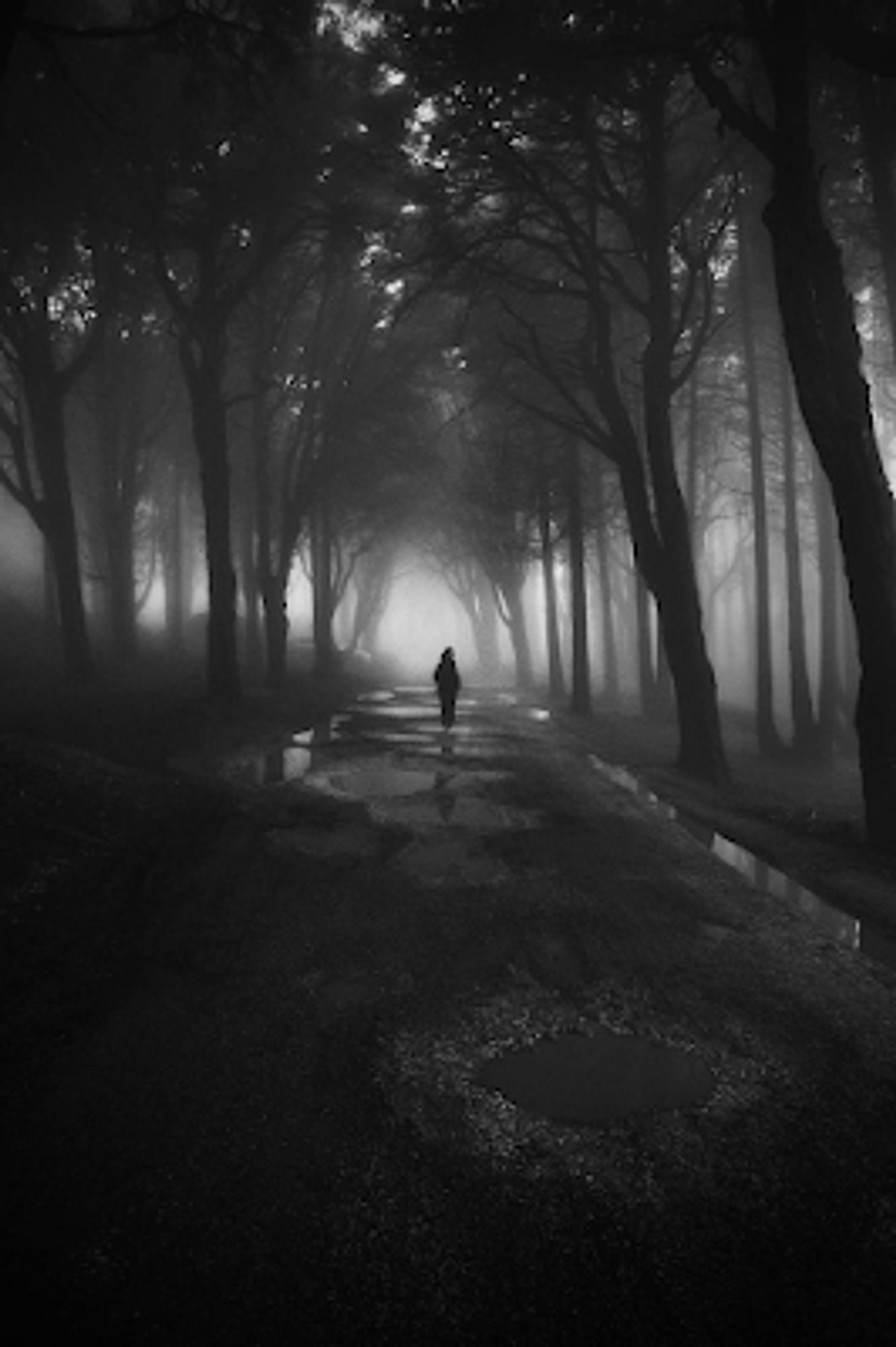 New Book lost child walking down tree lined road in the dark