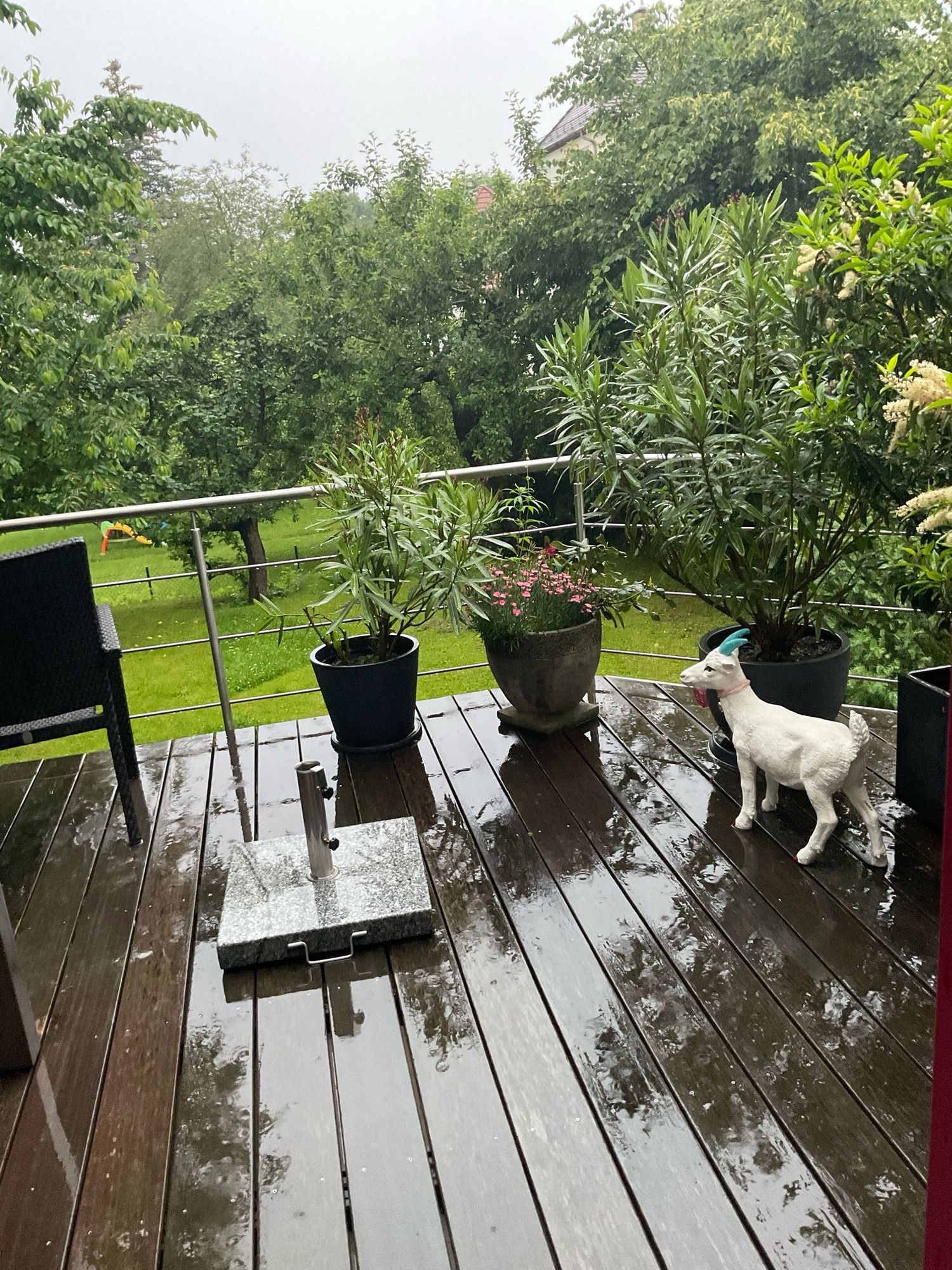 ein Regenfoto aus dem Fenster, zu sehen ist eine Terrasse mit Grünpflanzen, Holzbelag und einer weißen Ziege (Figur). Die Gefühlslage des Autors ist stark schwankend zwischen Hysterie und Resignation