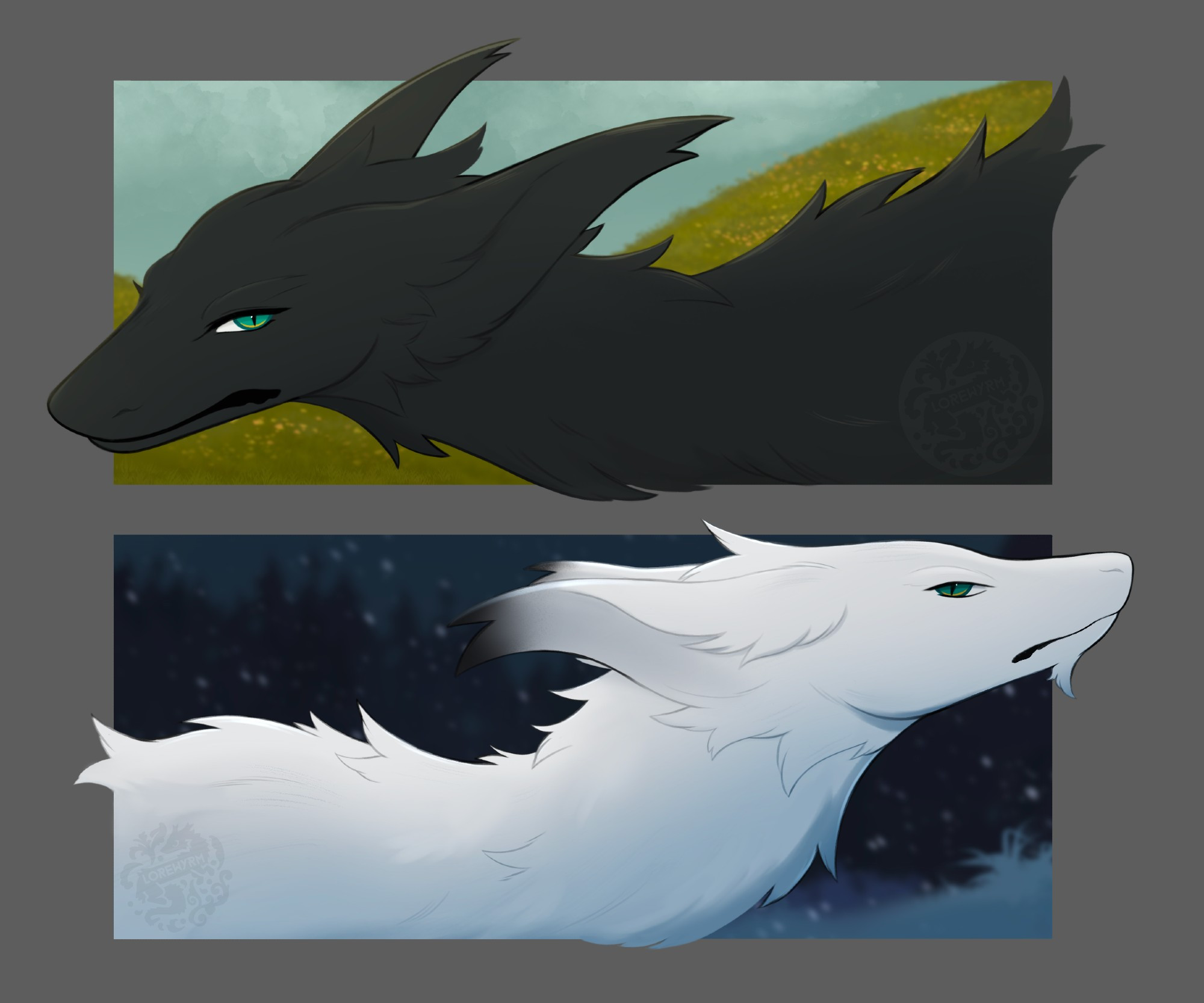 two dragon-looking creatures, one black and one white with a spring field and winter forest background for each respectively