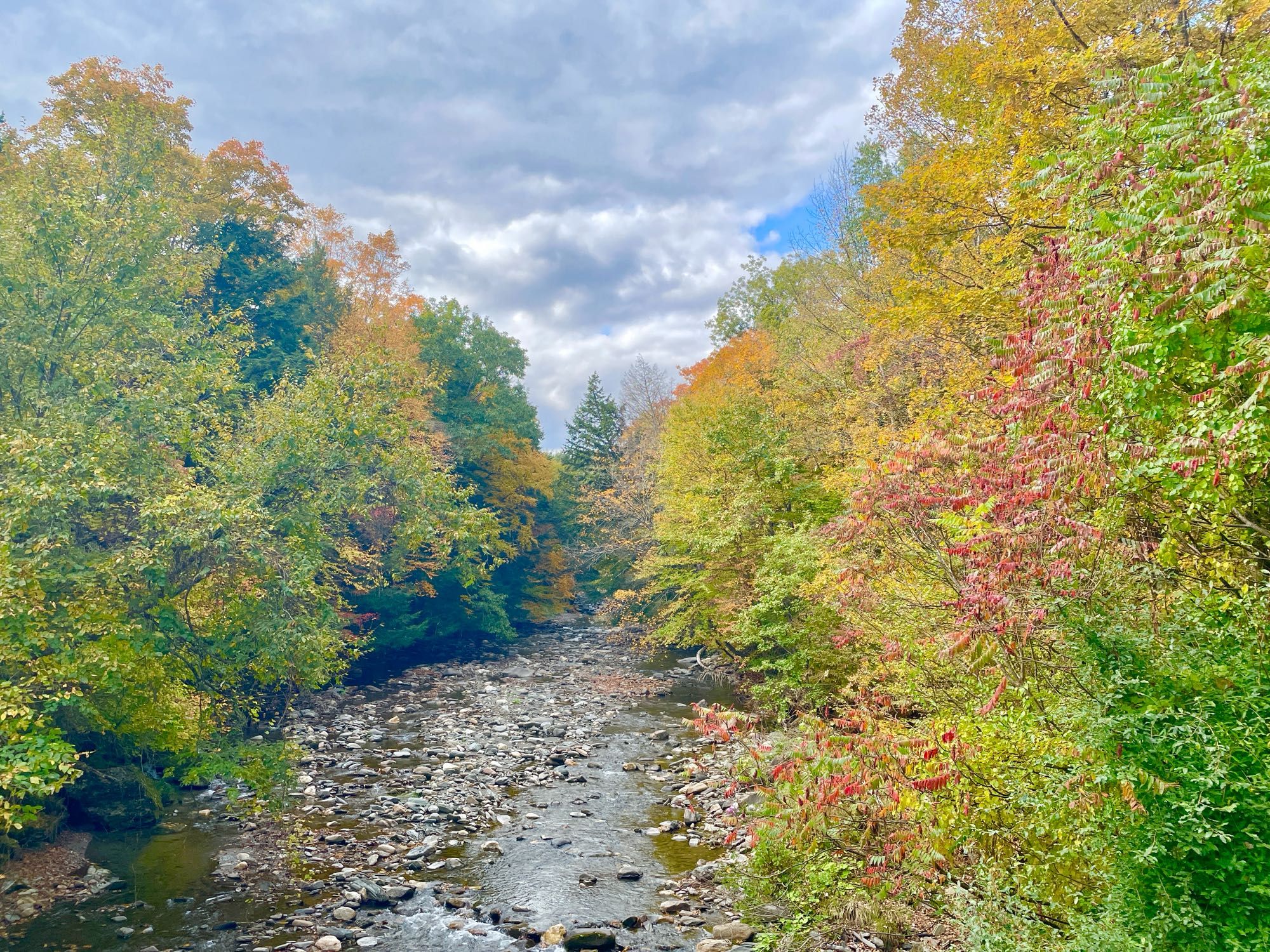 A rocky mountain brook in Vermont with trees on either side in the early stages of foliage change