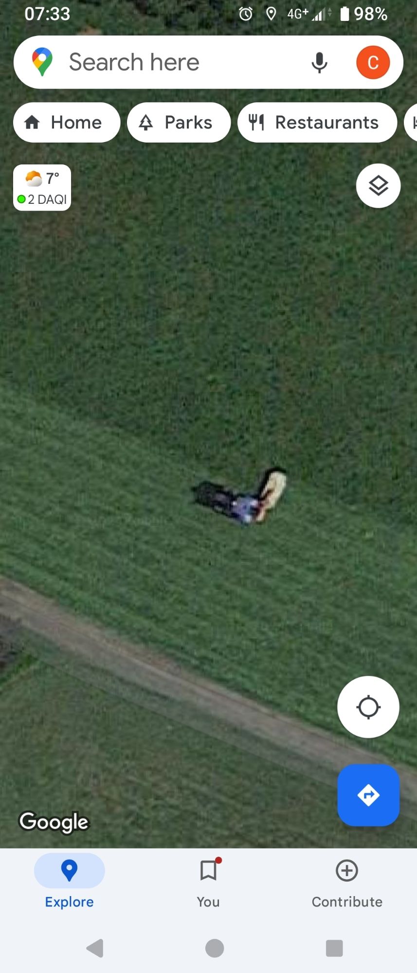 Super zoomed-in screenshot of the field, this time showing the border between the short and long grass. A single human figure stands, seemingly armed  with a domestic petrol lawnmower.