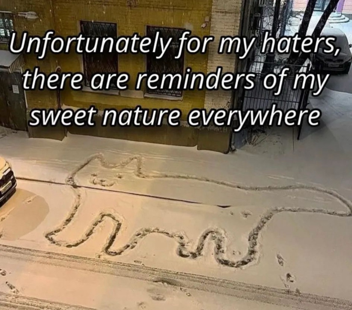 a snow covered street with a drawing of a happy cat.
the text reads:
“Unfortunately for my haters, there are reminders of my sweet nature everywhere”

:3