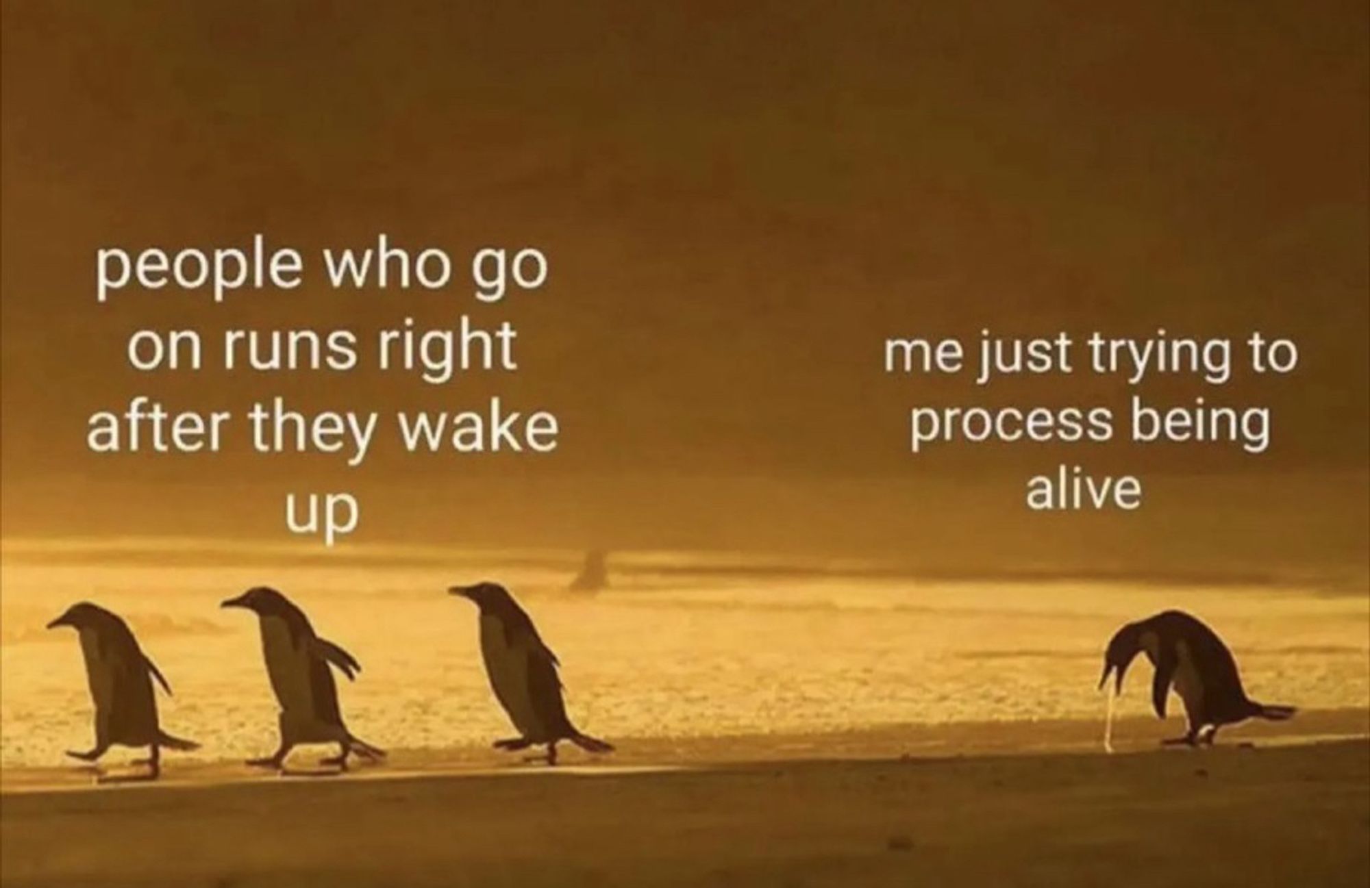 a group of four penguins with one of them falling behind. throwing up & clearing not having a good time. the text reads
 “people who go on runs right after they wake up”

over the penguin that’s struggling. the text reads 
“me trying to process being alive”