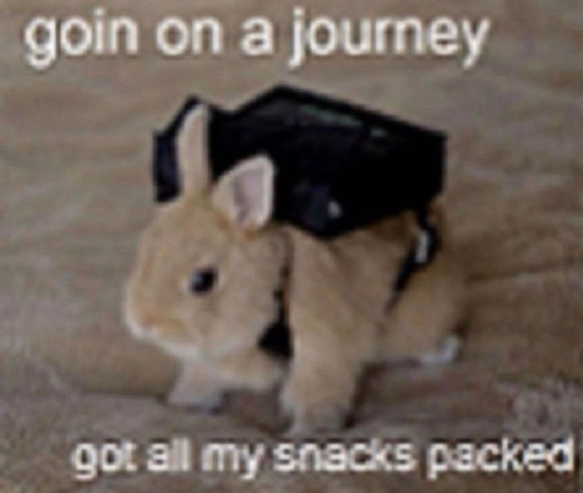 a low resolution picture of a bunny with a backpack 🎒 the text reads “goin on a journey. got all my snacks packed”