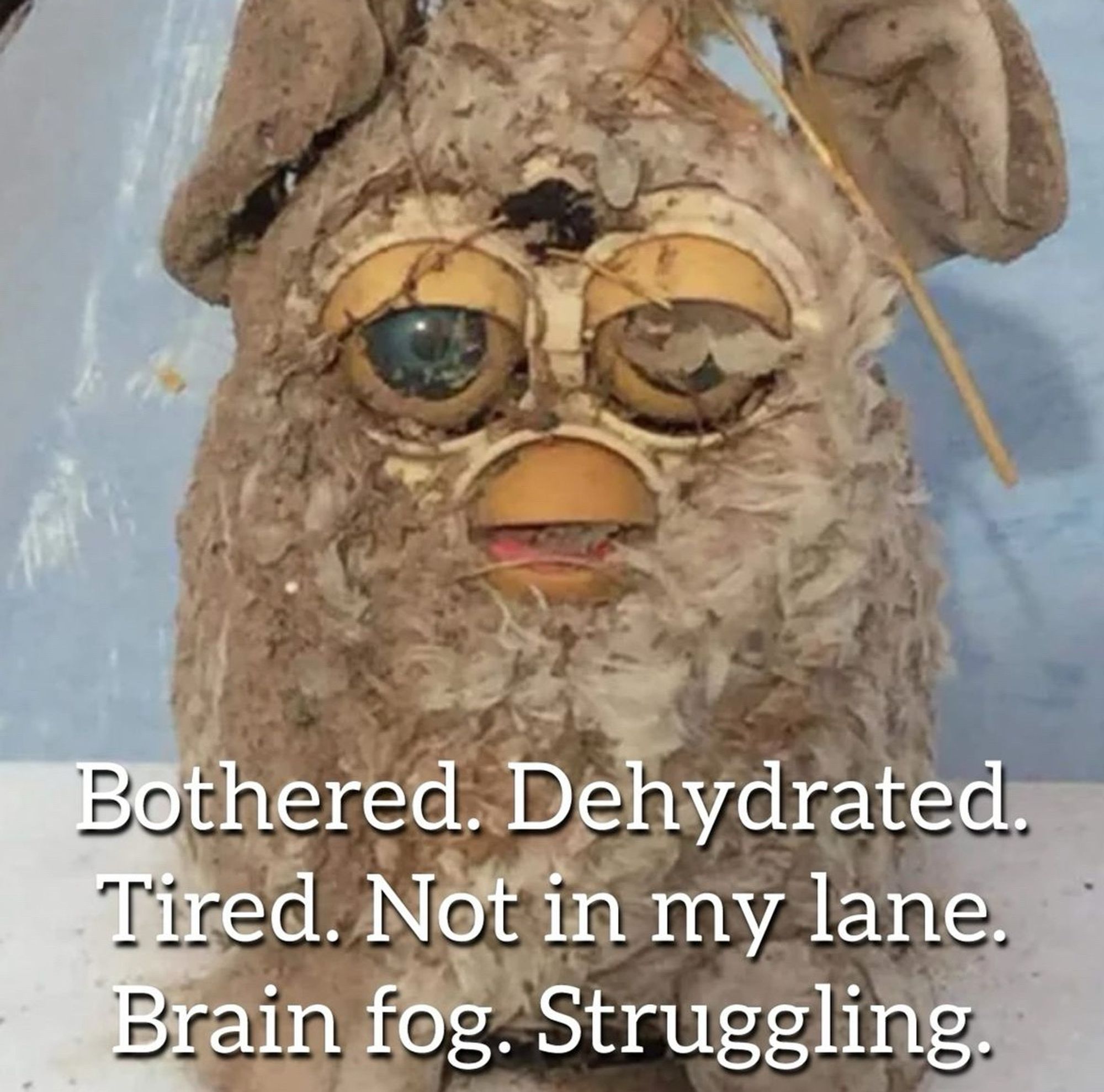 A decrepit looking Furby. The white reads: “ Bothered. Dehydrated. Tired. Not in my lane. Brain fog. Struggling. “