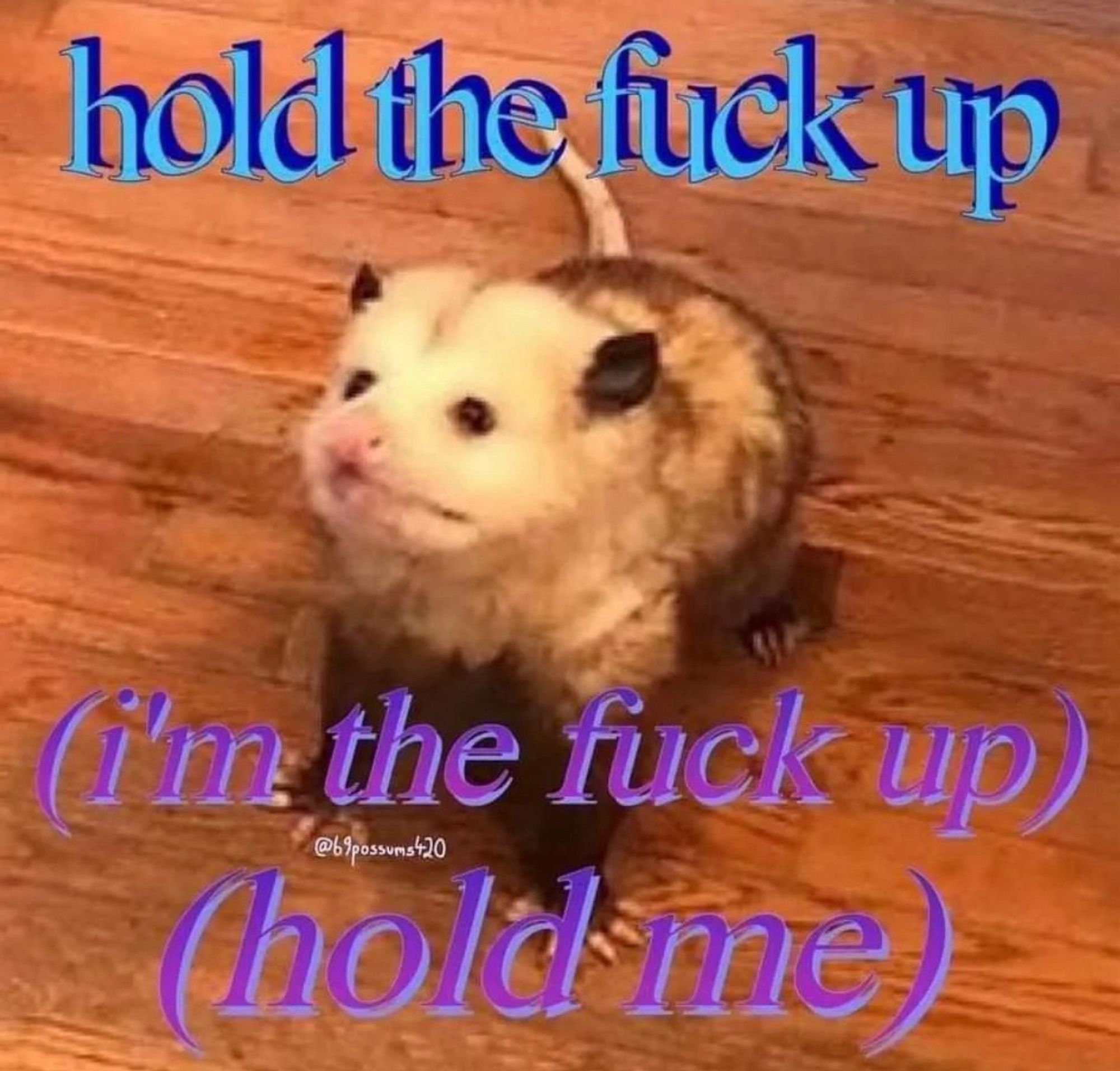 a possum with text. the text reads “hold the fuck up (i’m the fuck up) (hold me)”