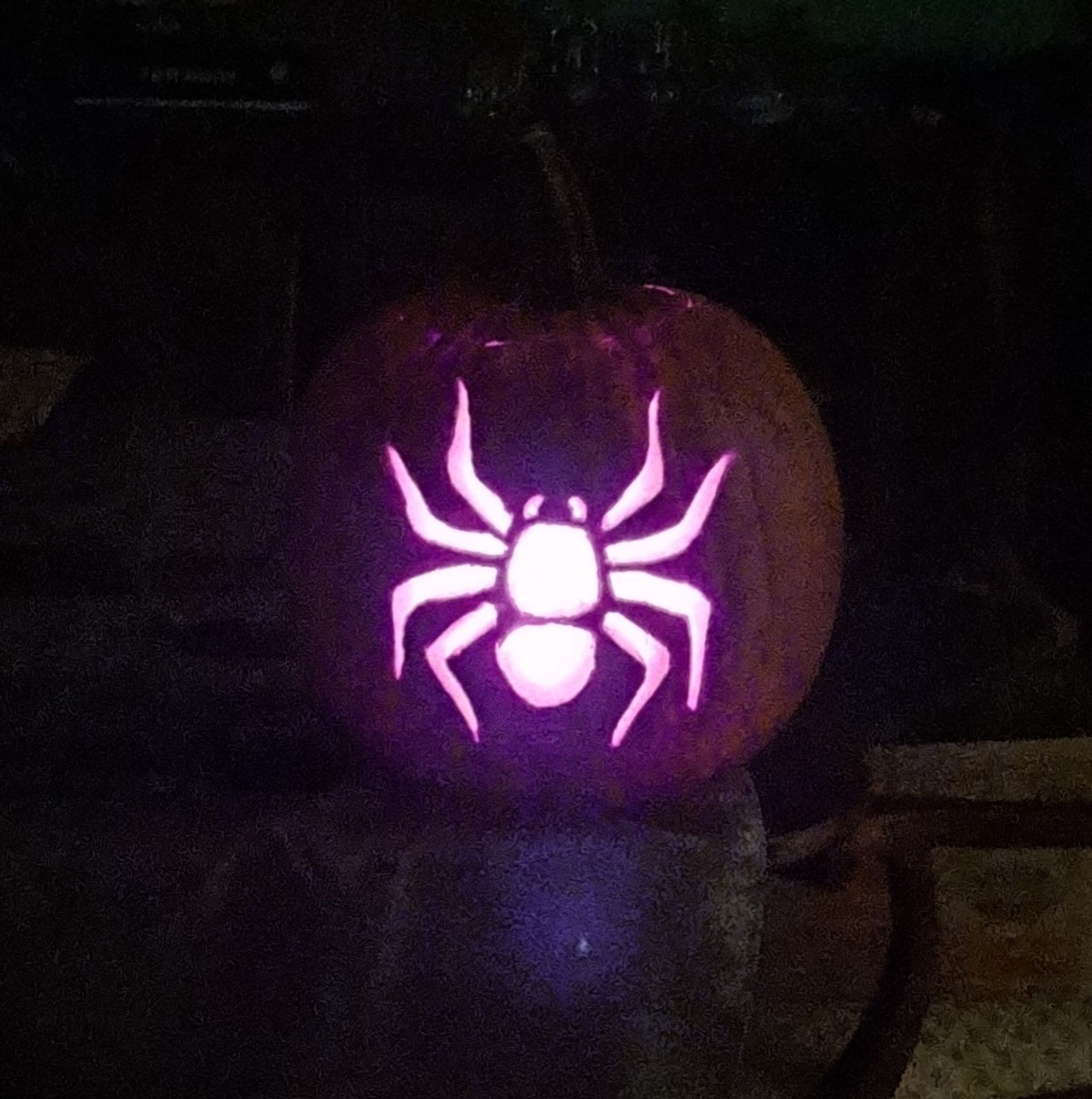 Pumpkin carved with a spider motif