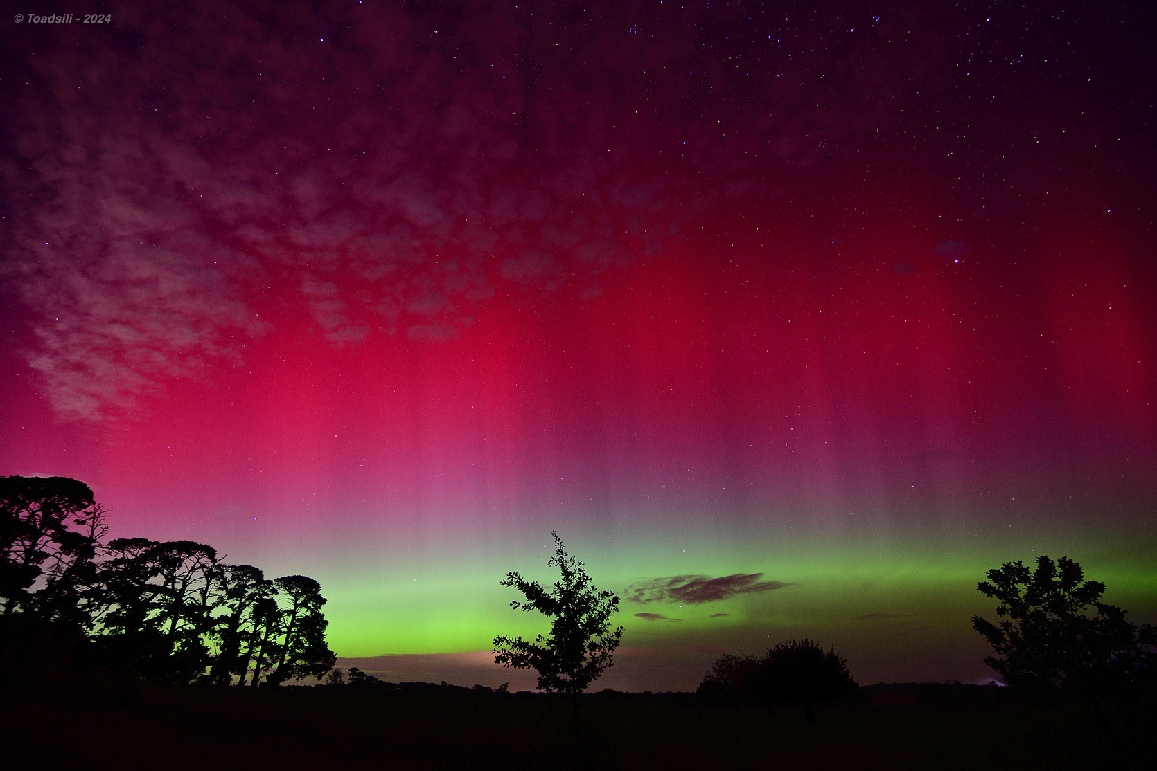 A landscape shot of a beautiful aurora; the bottom part is green, whilst the upper part is more of a red. The silhouettes of trees act as a foreground, and are completely in the dark.