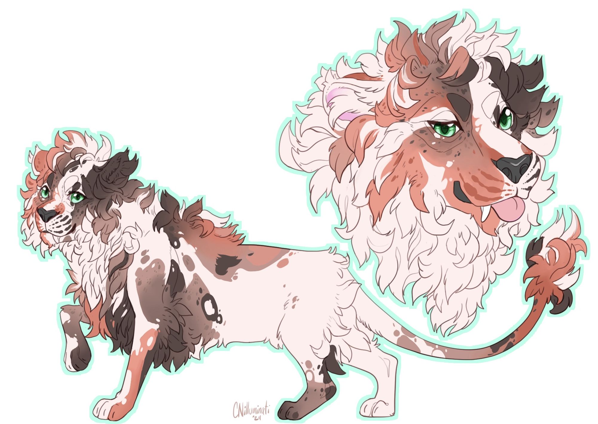 A nice curly calico man, lions are fun