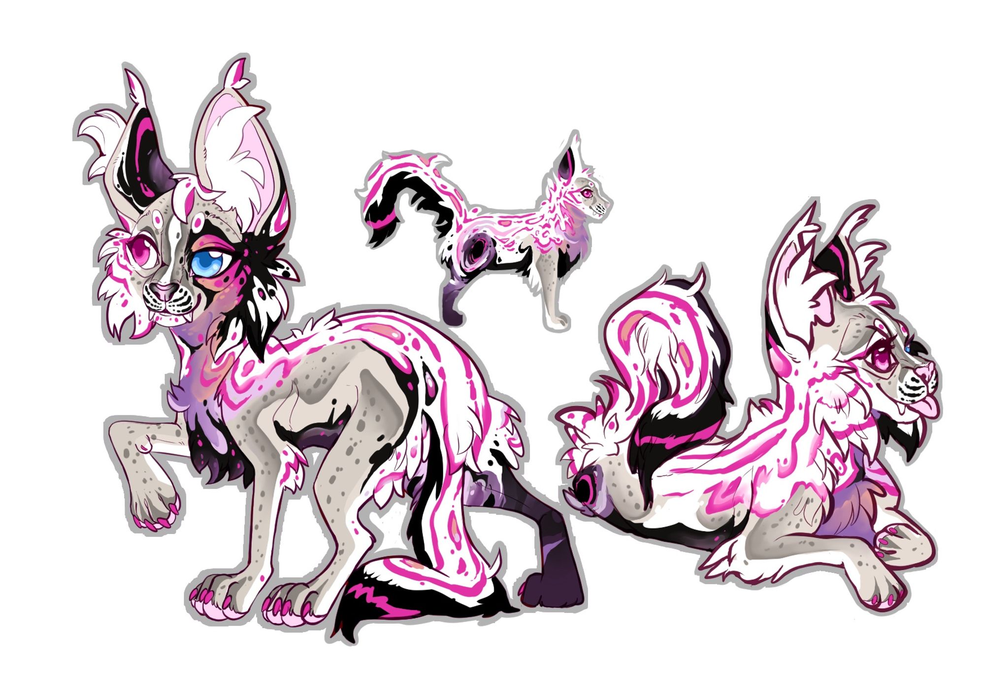 Pink serval lynx hybrids cat character, I love her she’s adorable