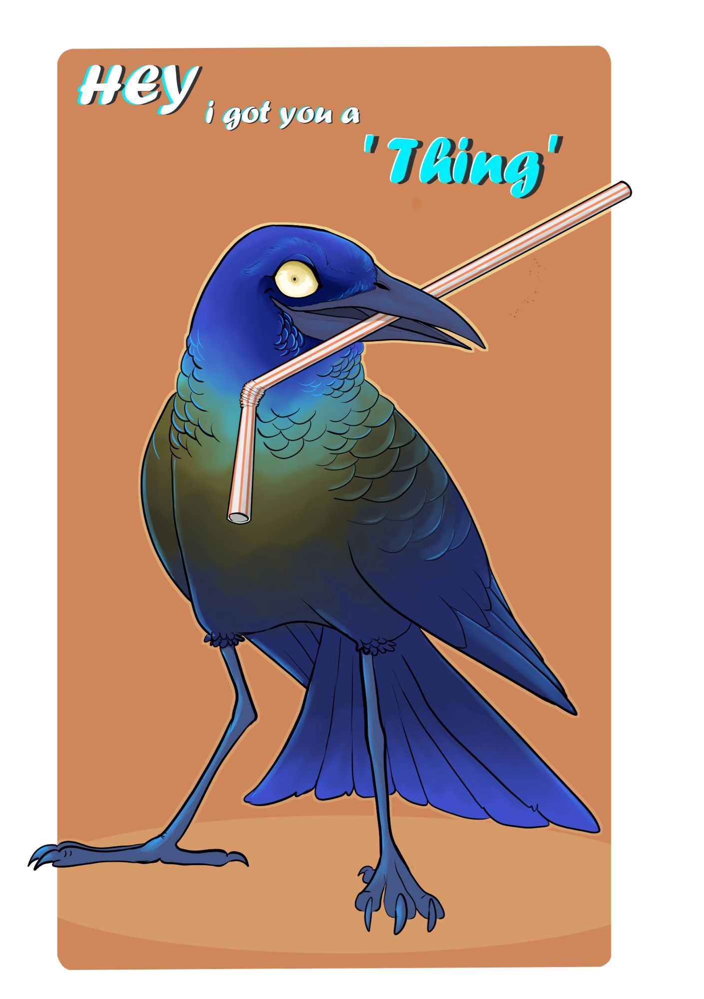 It’s a pretty maybe a little dopey grackle looking quite pleased carrying a bendy straw