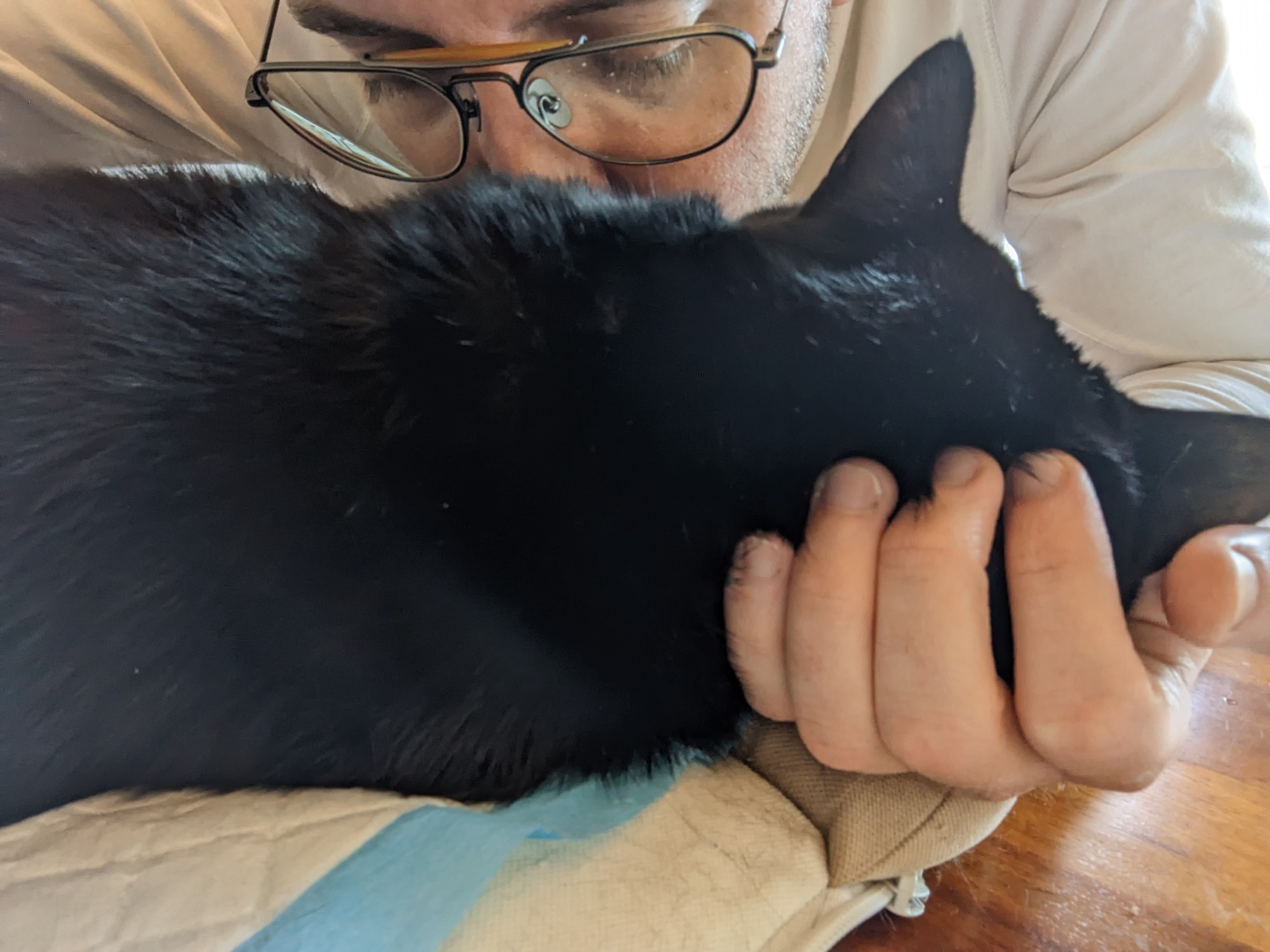 A little black kitty lay on her side, head resting comfortably in my left palm as she crosses over to the other side. I am kissing her chest, heartbroken.