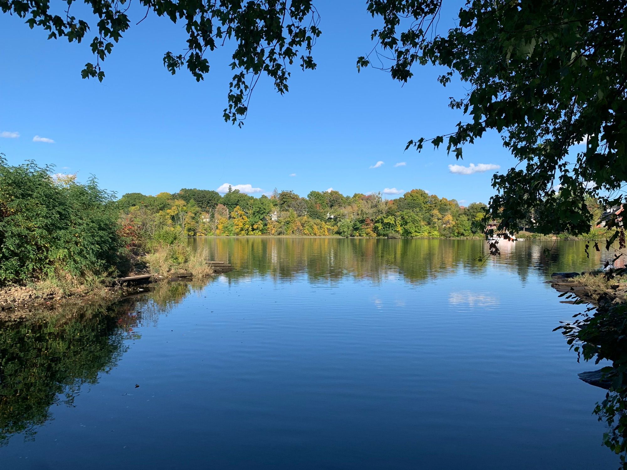 View of the Kennebec river, surrounded by trees