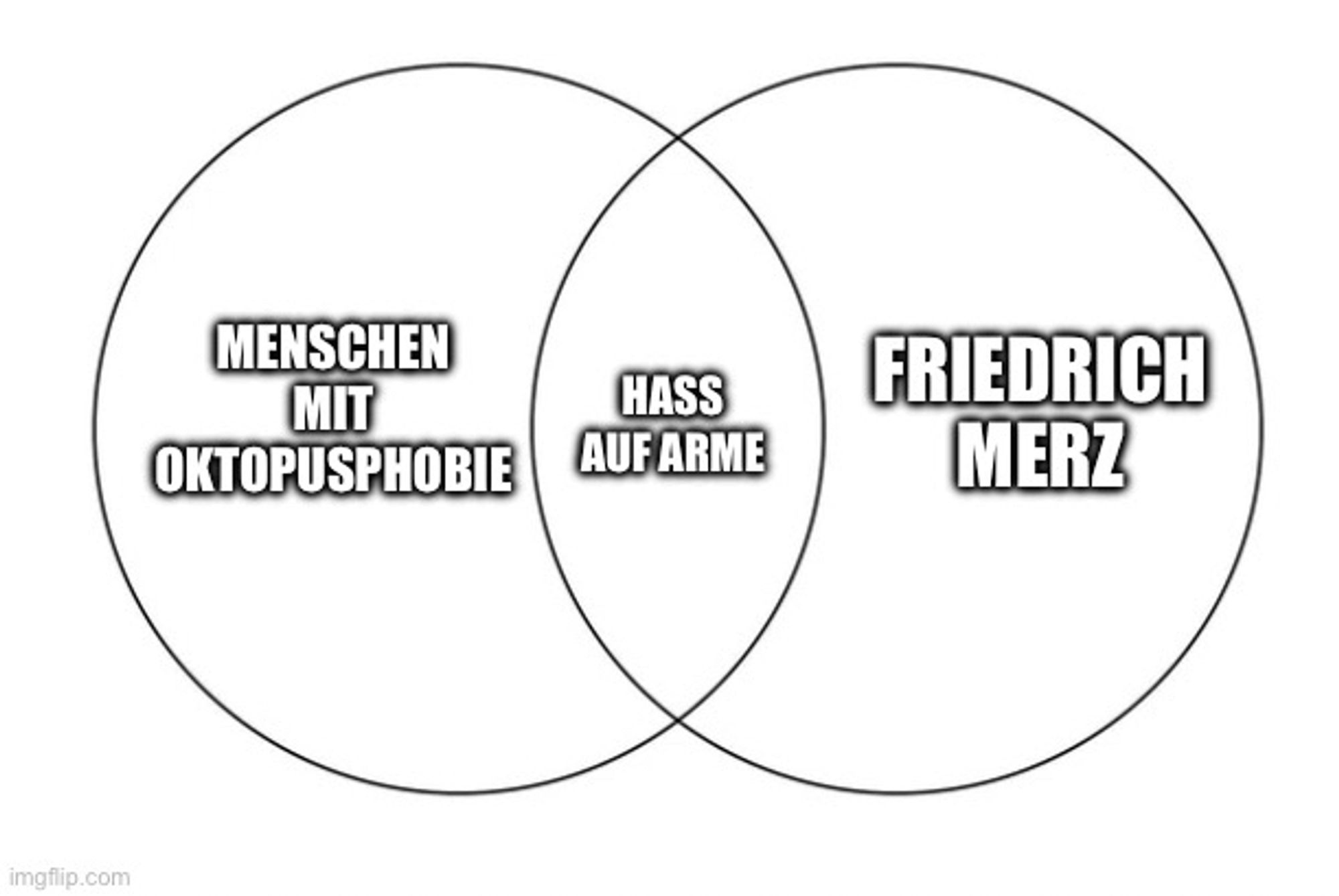 Venn Diagramm mit zwei überschneidenden Kreisen, links „Menschen mit Oktopusphobie“, Mitte „Hass auf Arme“, rechts „Friedrich Merz“