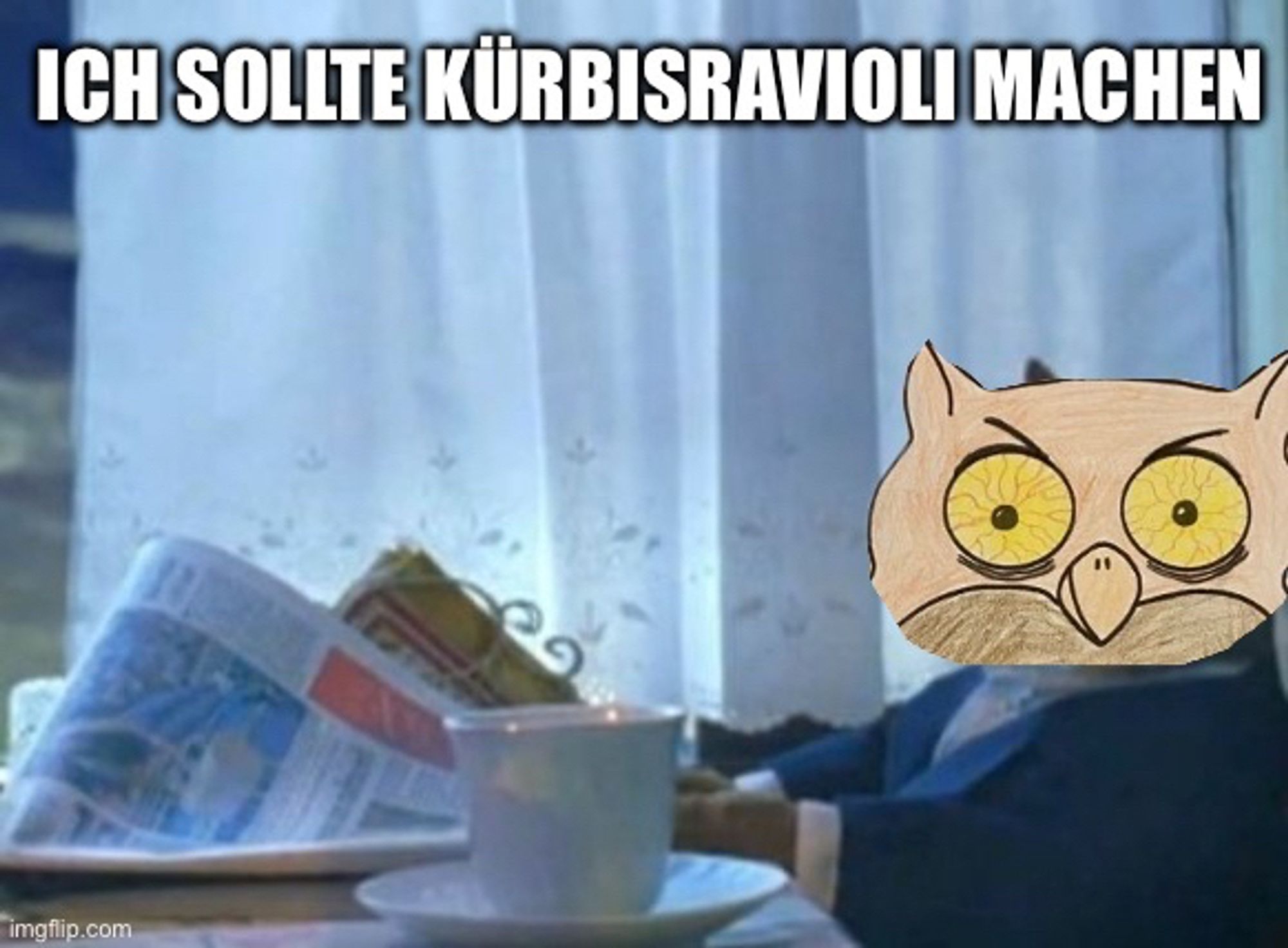 I should buy a boat-Meme, Kopf der Katze ersetzt durch Heinz-Kopf, Text: Ich sollte Kürbisravioli machen