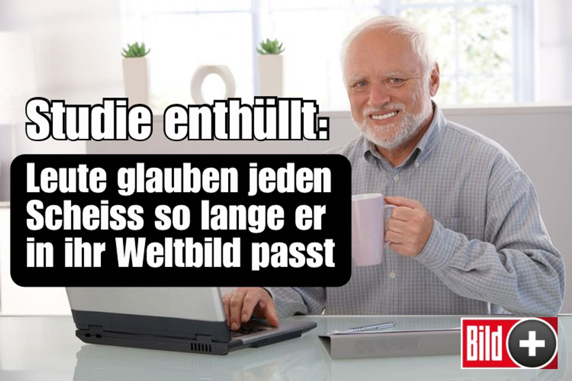 Hide the Pain Harold am Laptop mit Kaffeetasse, darauf Text: Studie enthüllt: Leute glauben jeden Scheiß so lange er in ihr Weltbild passt, unten recht Bild+ Logo