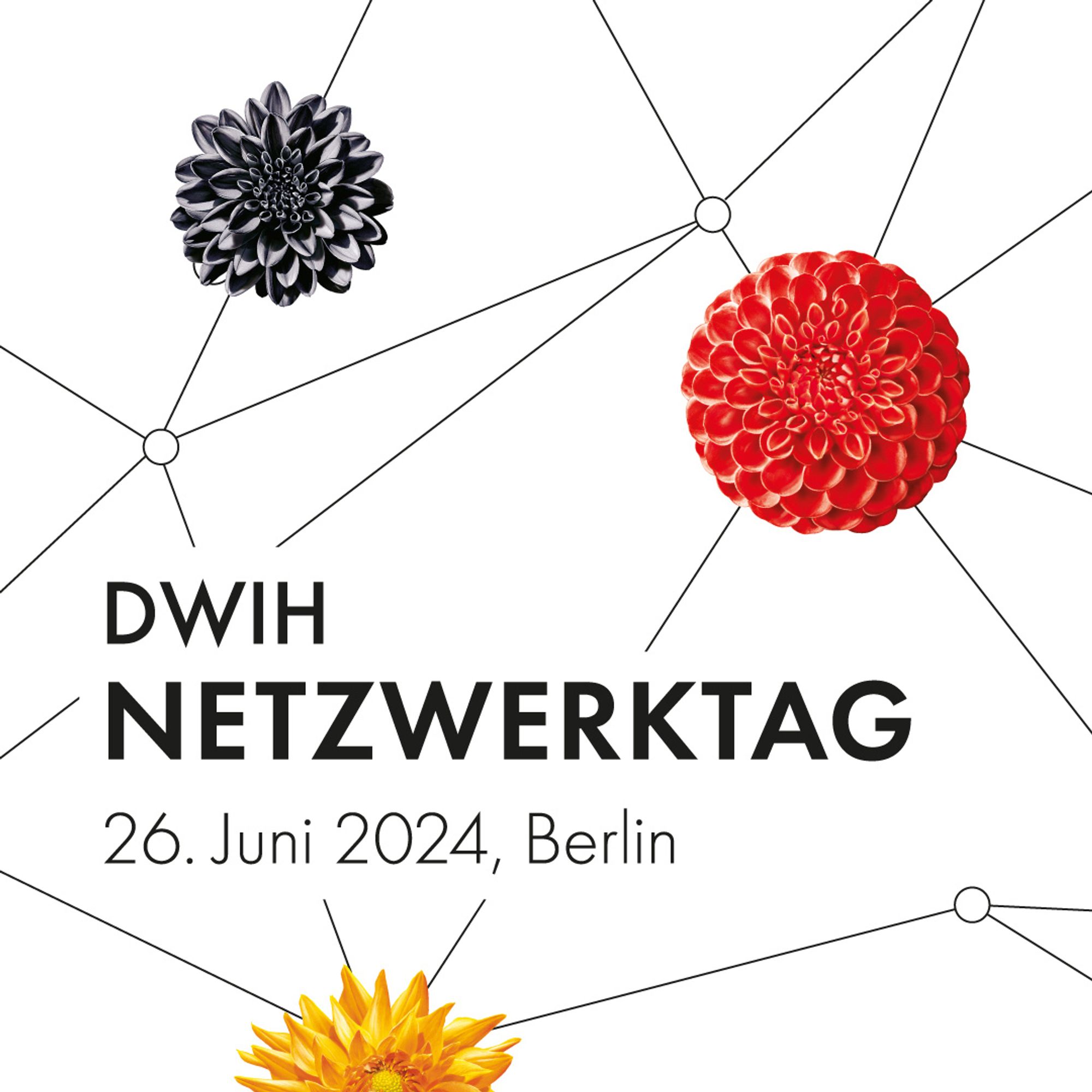 Poster zum DWIH Netzwerktag, der am 26. Juni 2024 in Berlin stattfindet.