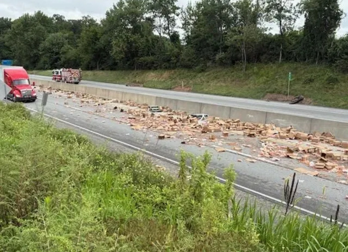 Hot dogs scattered across the highway 