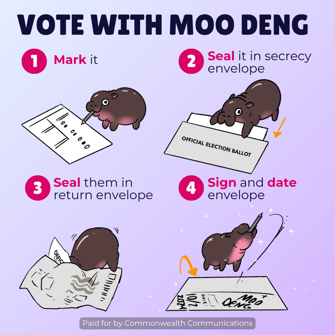 A cartoon of Moo Deng going overt the steps for mail-in voting in PA