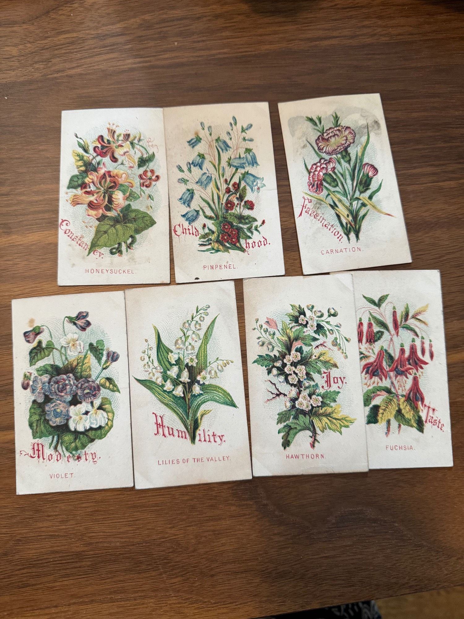 7 tiny cards (each about 2.5'' high) representing constancy ("honeysuckel [sic]), childhood ("pimpenel" [sic]), fascination ("carnation"), modesty (violet), humility (lilies of the valley), joy (hawthorn), taste (fuchsia). Background is white , lettering is red; the cards are printed in multiple colors: Prang was a pioneer of chromolithography.