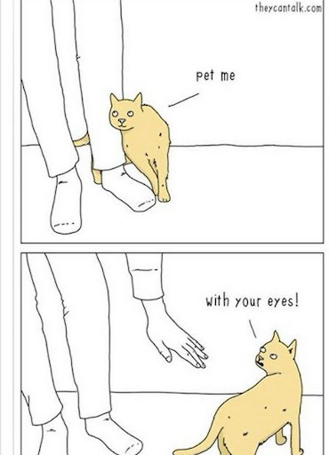 cat rubbing leg saying pet me 
next panel - with your eyes