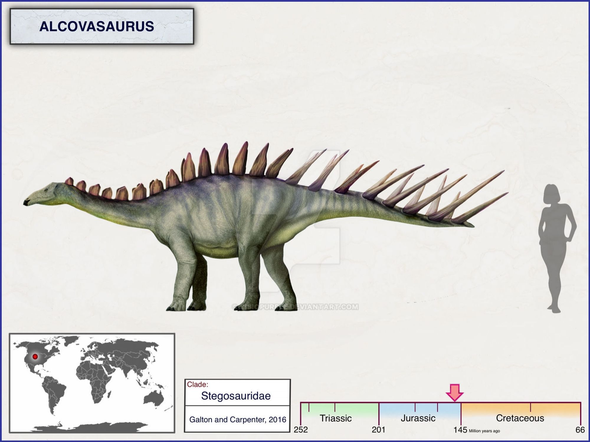 Größenvergleich des Stegosauriers Alcovasaurus mit einer ausgewachsenen Frau, die beide ähnlich hoch sind (ohne die Rückenstacheln des Stegosauriers). Er wurde in Nordamerika gefunden und lebte in der späten Jurazeit.