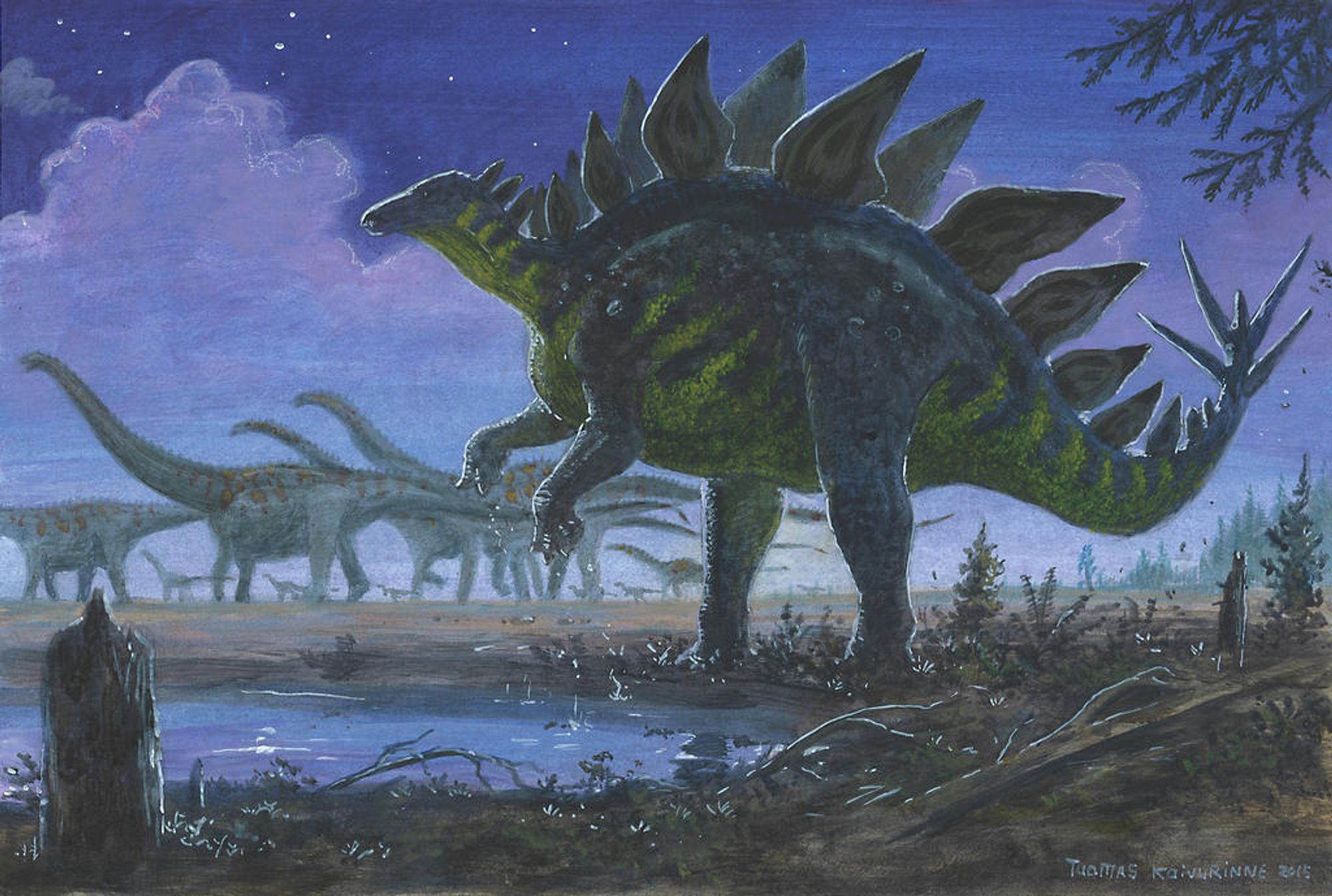 Rekonstruktionszeichnung eines Stegosaurus bei Nacht, der sich an einer Wasserstelle drohend und suchend auf zwei Beine aufrichtet um sich umzusehen, im Hintergrund wandert eine Sauropodenherde.