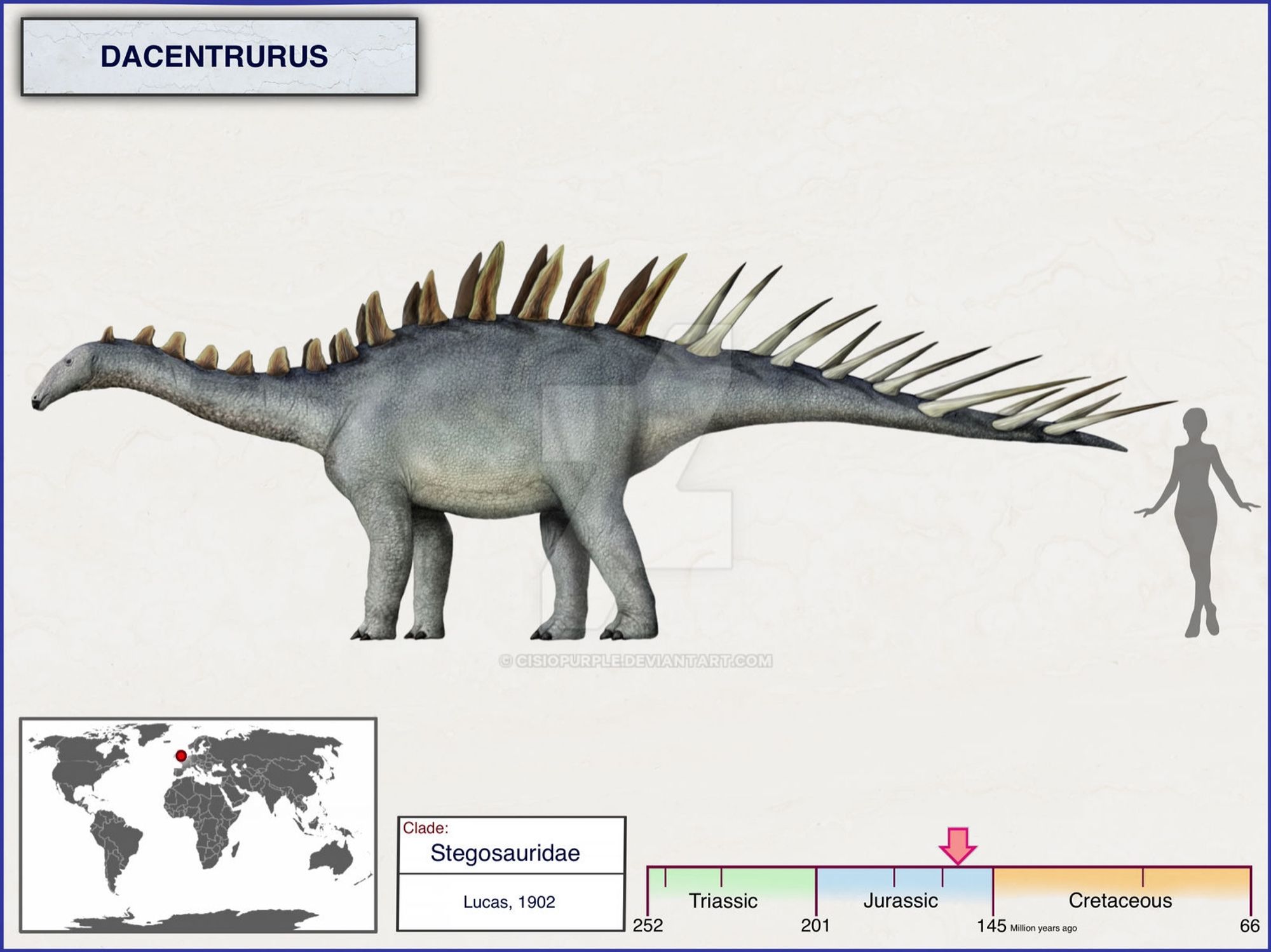 Größenvergleich des Stegosauriers Dacentrurus mit einer ausgewachsenen Frau, die er um etwa zwei Köpfe überragt. Er wurde in England gefunden und lebte in der späten Jurazeit.