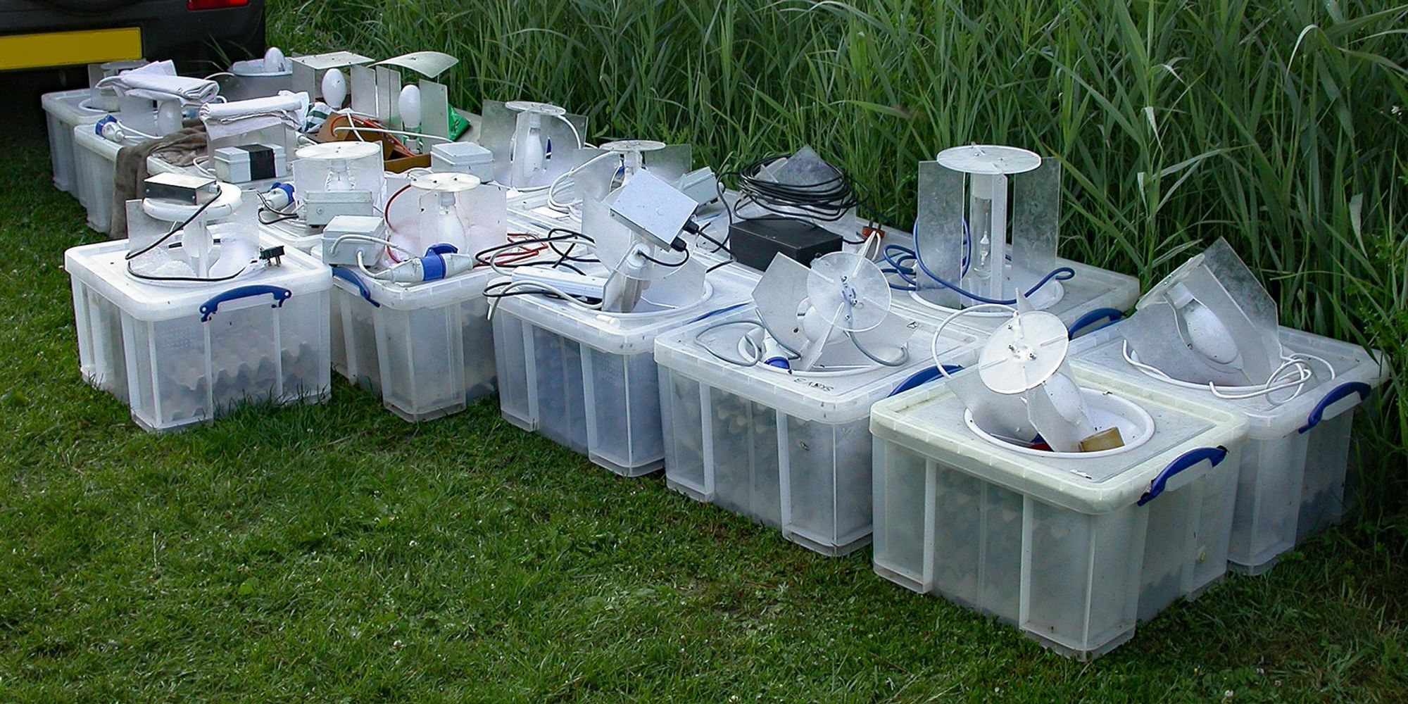 Emptying one full trap can be a lengthy process on a good night. Emptying 17 takes hours even when doubling up! Using a dictaphone rather than scribing in a book helps, but still not far off midday by the time we'd packed up and were ready to go. Traps held in cool shade and funnels blocked whilst in queue.