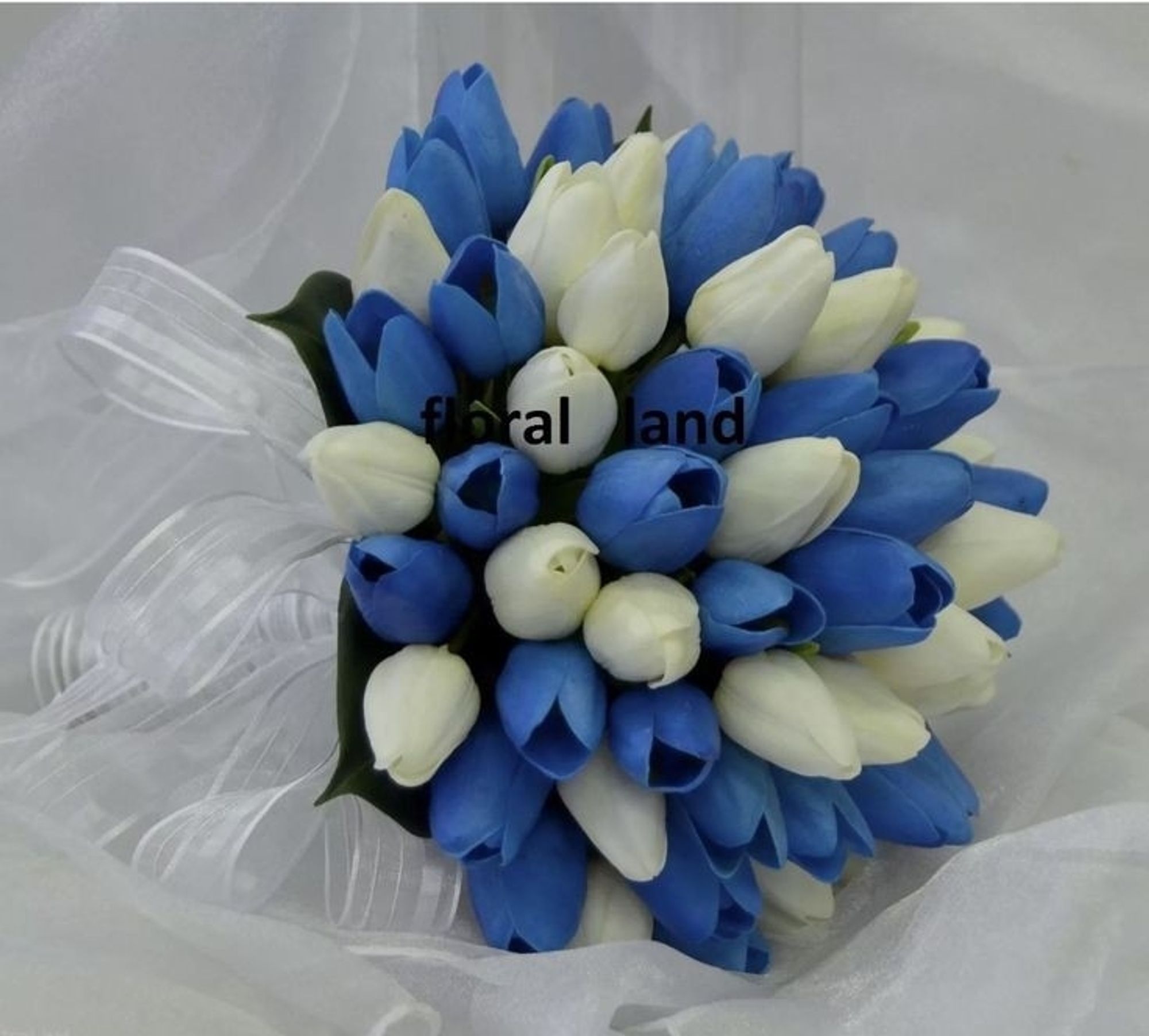 Blue and white tulips