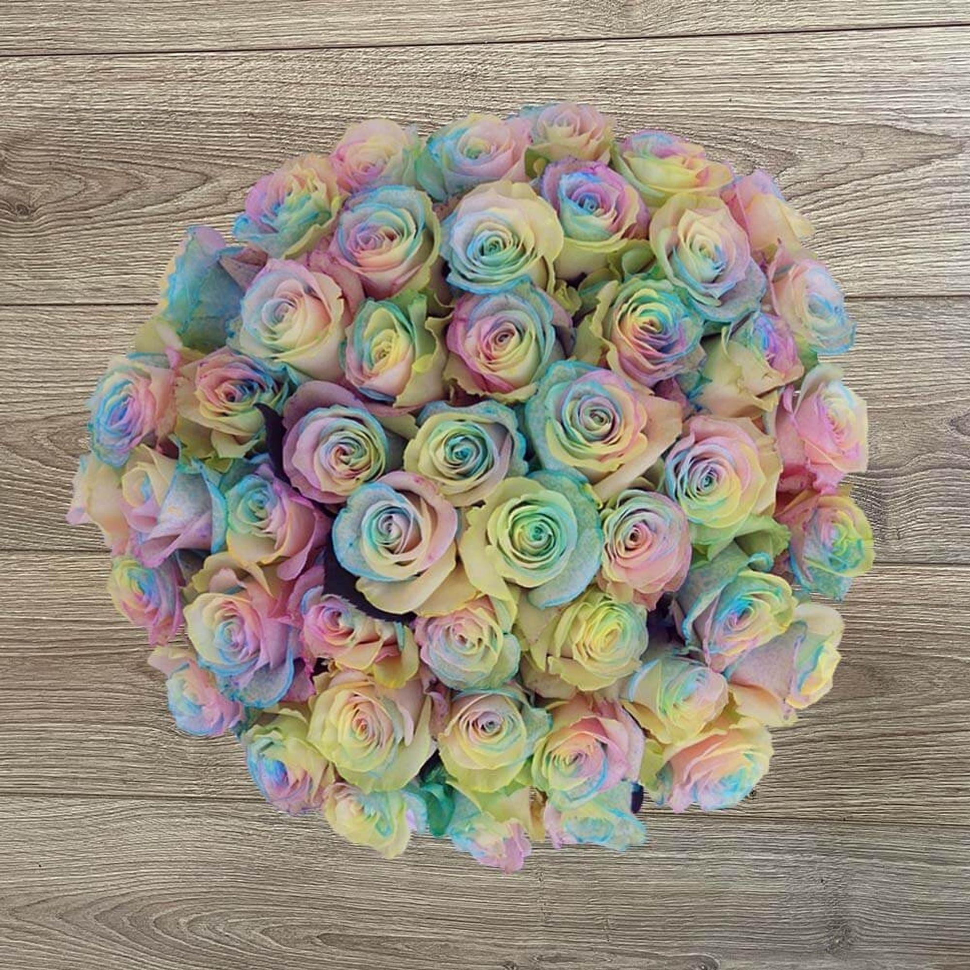 Pastel rainbow roses