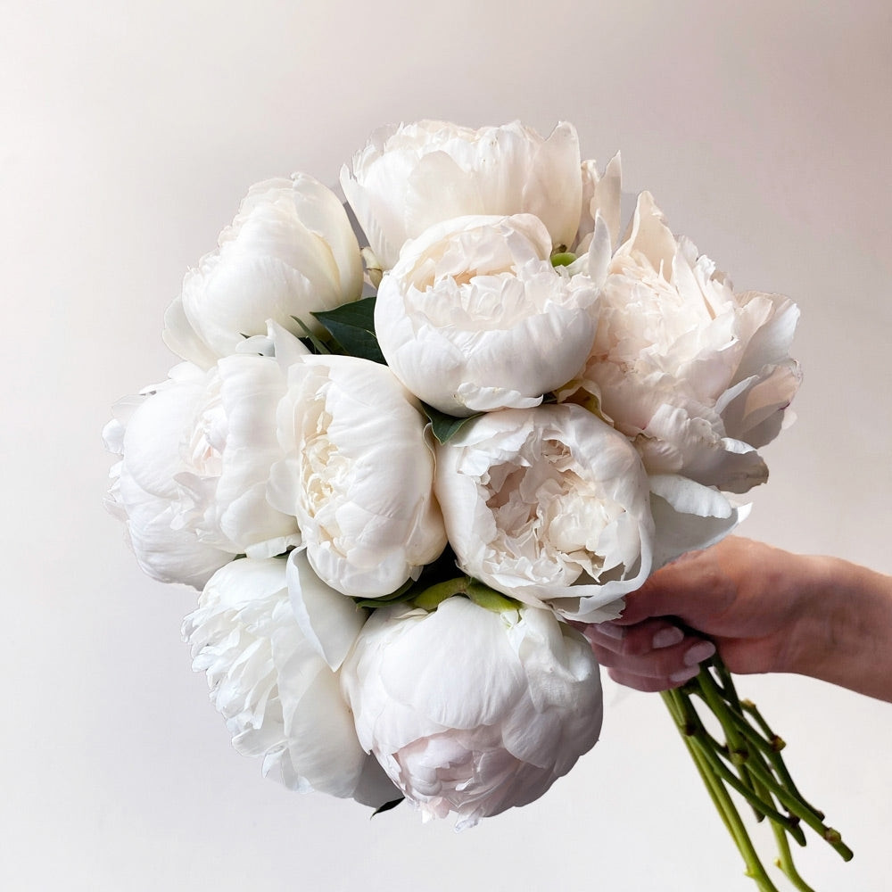 A white peony bouquet with no ribbon or paper