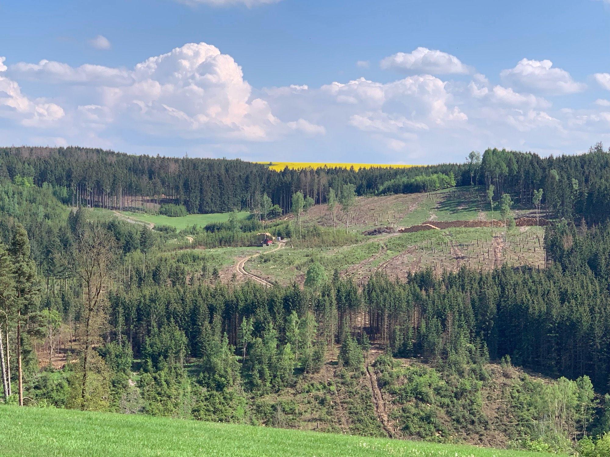 Weite Landschaft mit Hügeln, aber fast komplett entwaldet