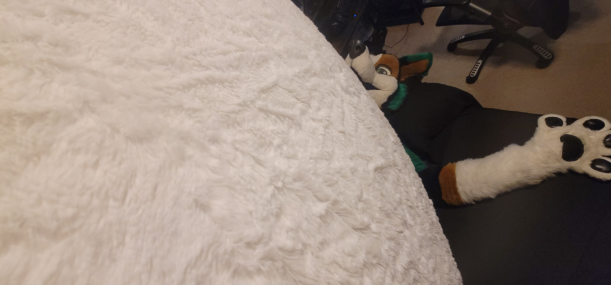 Zuel fursuit looking extremely happy over how huge his belly is