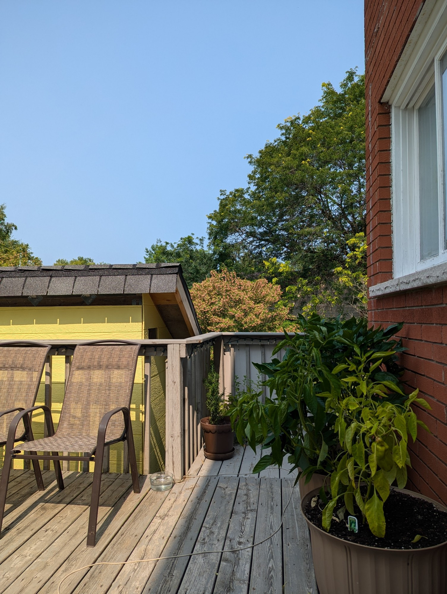 Summer blue sky with trees in the trees background. On a back deck with several potted plants, empty chairs, and the sun creeping closer to the brick house.