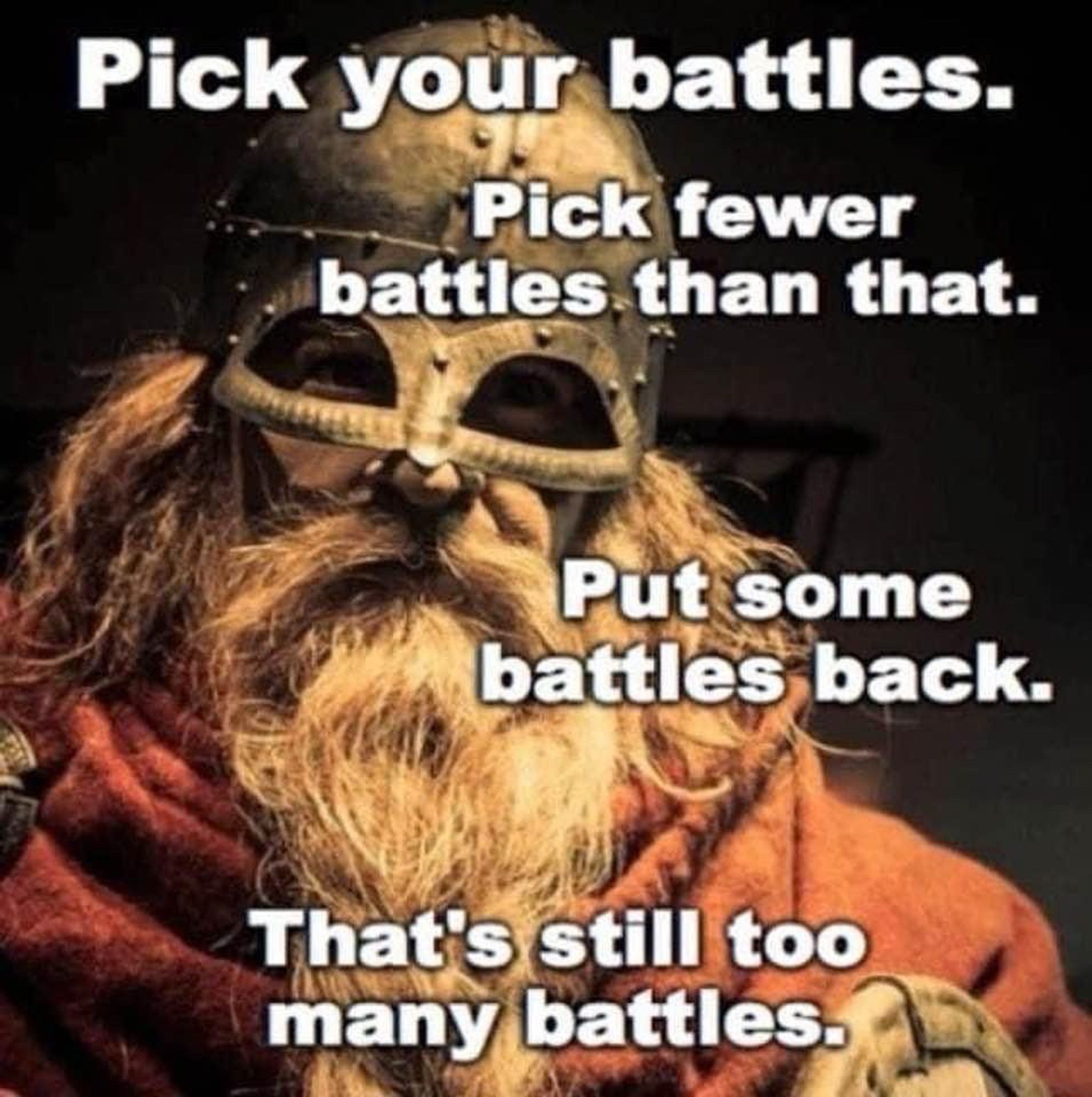 A helmeted bearded warrior (from LOTR? Theoden?) with test that says “Pick your battles.” 
“Pick fewer battles than that.” 
“Put some battles back.” 
“That’s still too many battles.” 