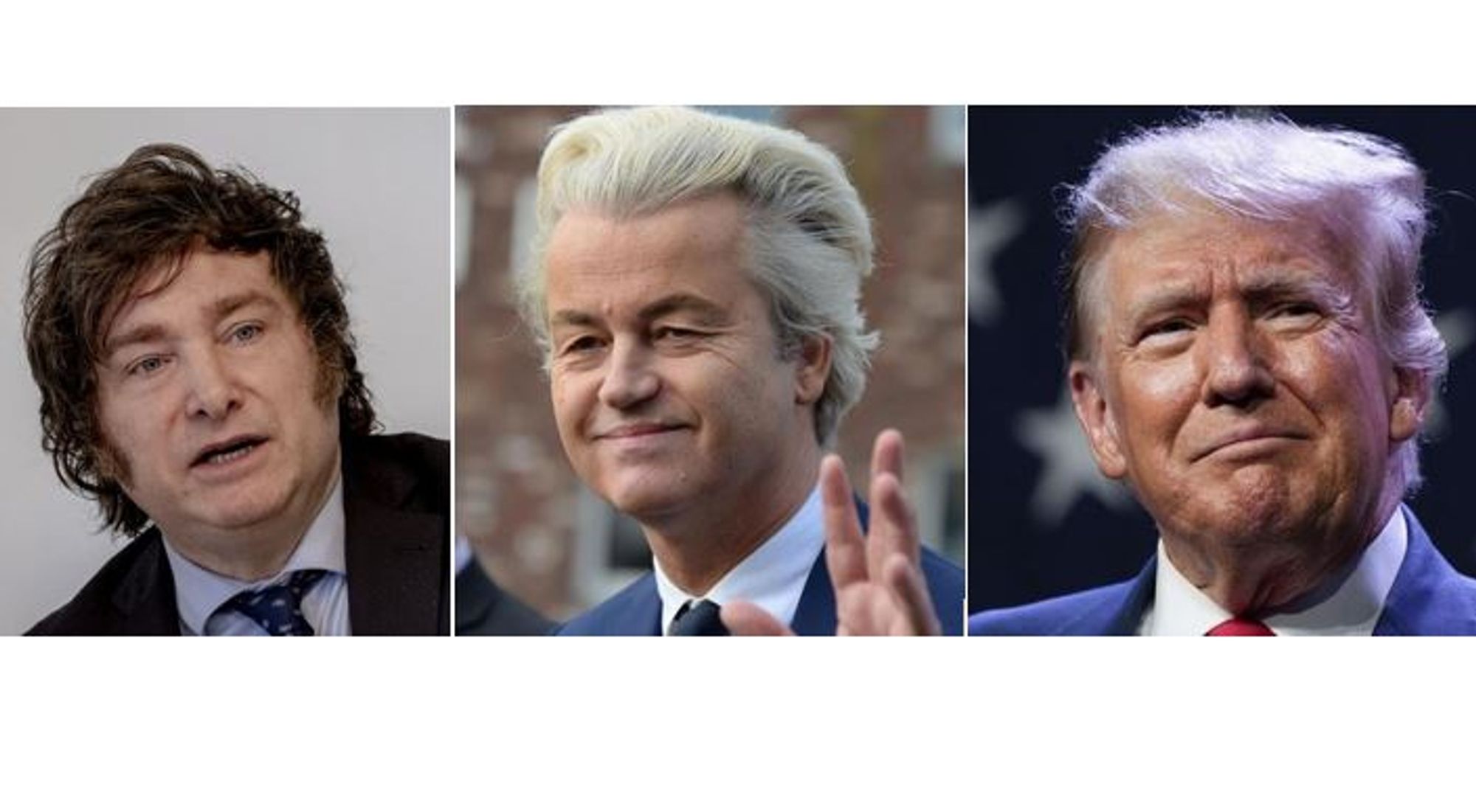 Milei - Argentinien
Wilders - Niederlande
Trump - USA