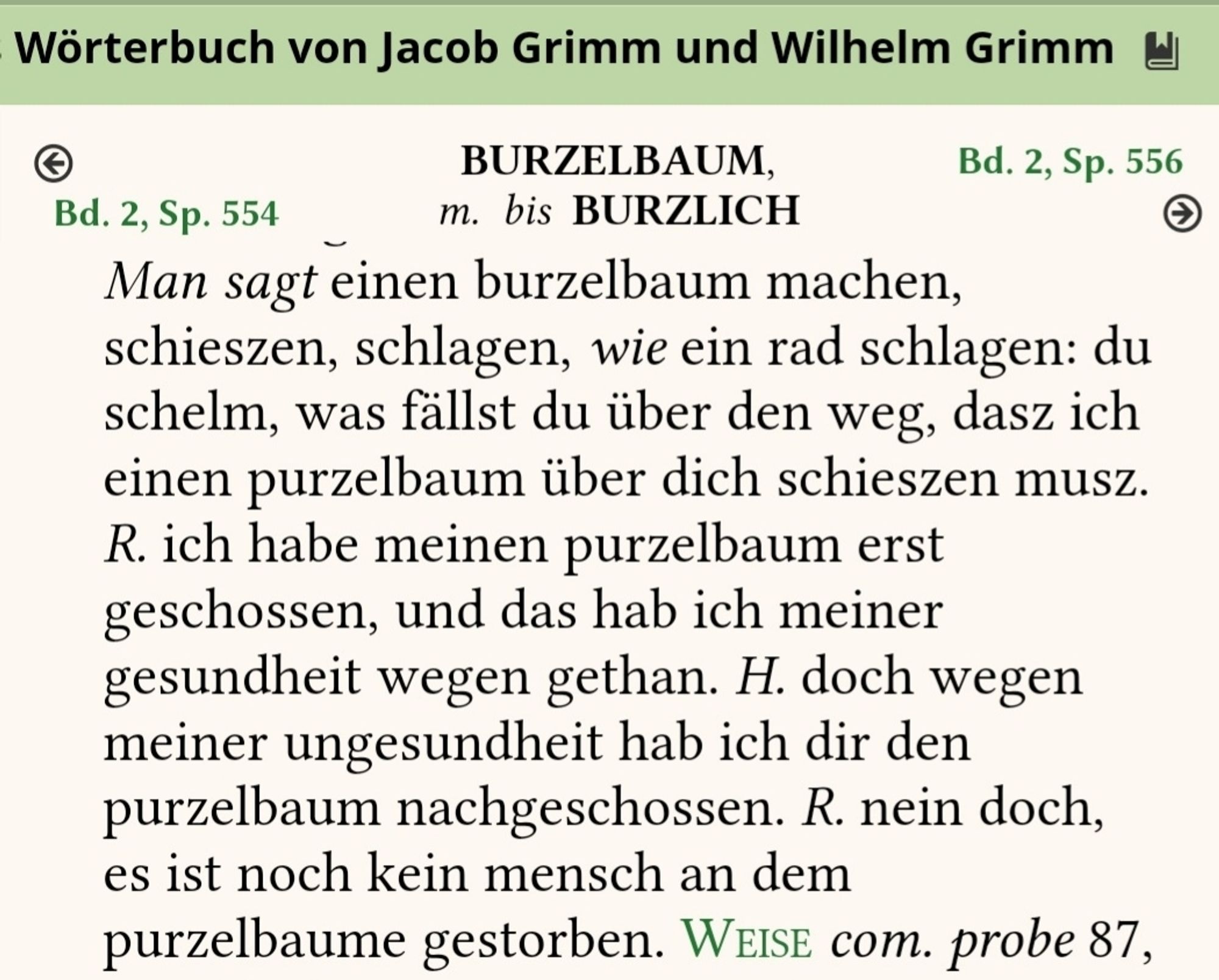 Belegstellen zum Eintrag Burzelbaum im DWB: Man sagt einen burzelbaum machen, schieszen, schlagen, wie ein rad schlagen: du schelm, was fällst du über den weg, dasz ich einen purzelbaum über dich schieszen musz. R. ich habe meinen purzelbaum erst geschossen, und das hab ich meiner gesundheit wegen gethan. H. doch wegen meiner ungesundheit hab ich dir den purzelbaum nachgeschossen. R. nein doch, es ist noch kein mensch an dem purzelbaume gestorben.