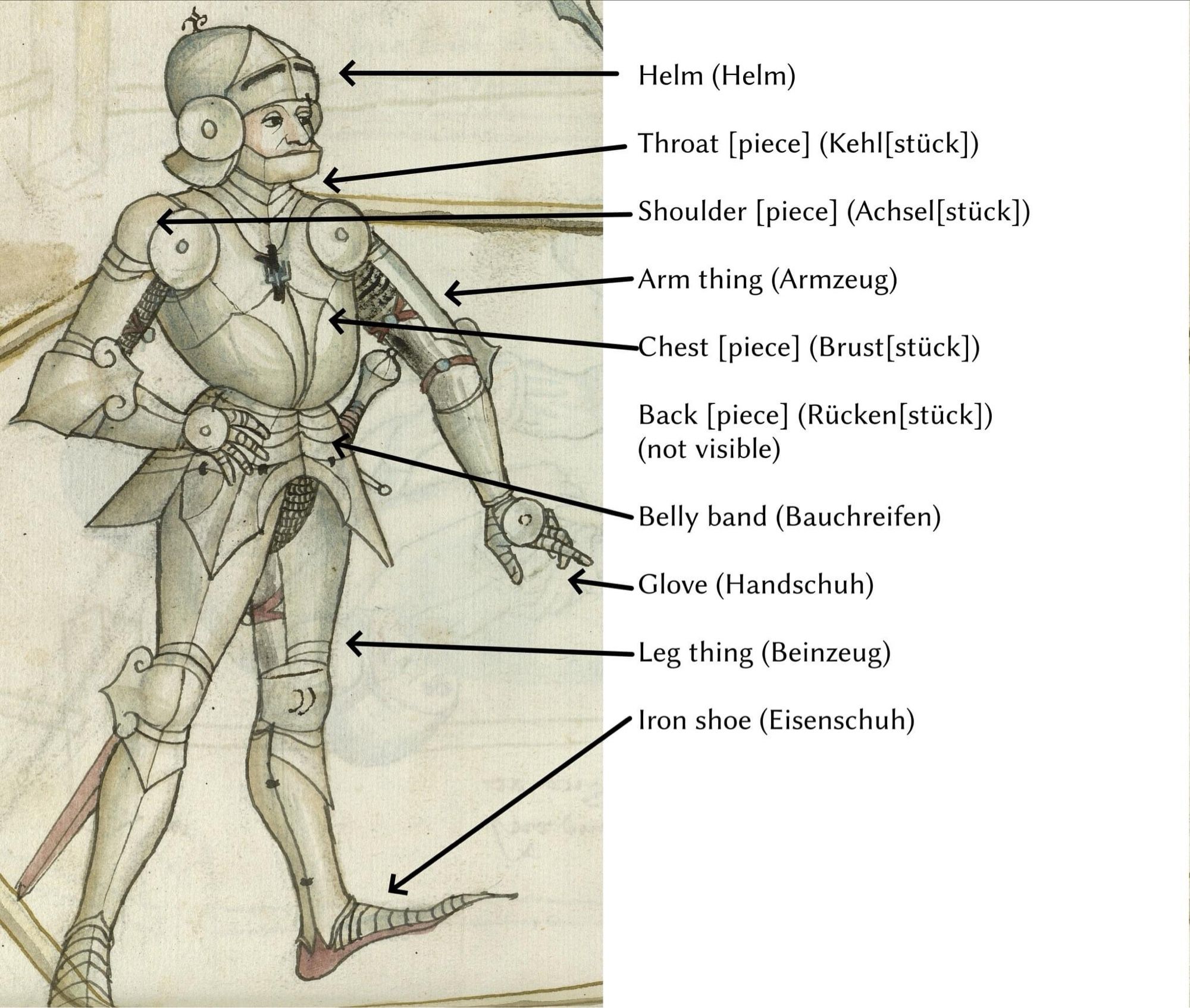 A picture of a suit of gothic armor with the German names and English translations for them listed beside. Most relevant is that the belly is called the belly band, the chauses are called the leg-thing, and the literal term for the glove is “handschuh” which means “hand-shoe.”