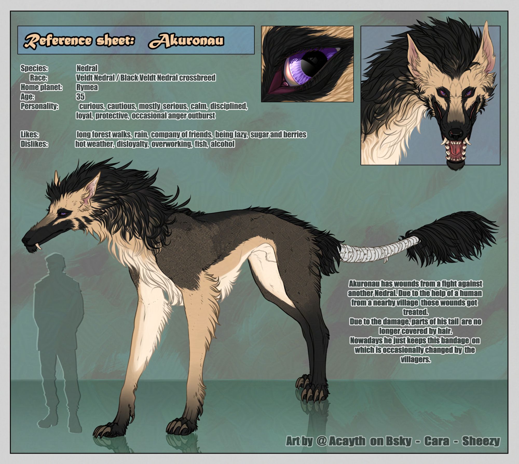 Species sheet of Akuronau, who is a Nedral. Nedrals are a species, that is owned by me, @Acayth