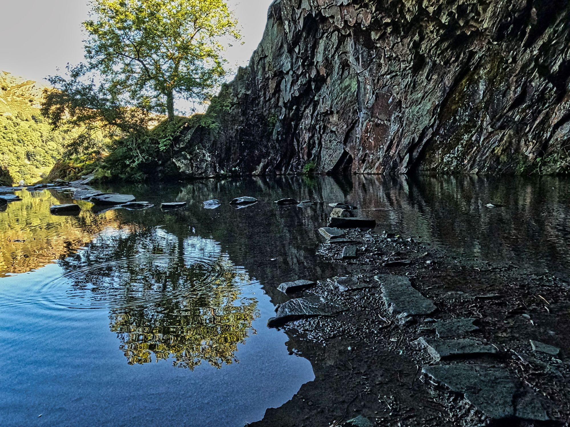 Rydal caves, near Ambleside, Cumbria - Water filled cave, with a tree reflected in the water. Stepping stones disappear into the distance.